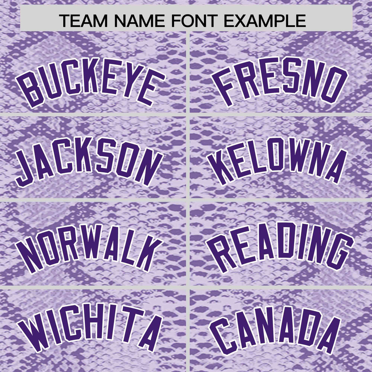 Custom Multi Color Snakeskin Pattern Authentic Baseball Jersey