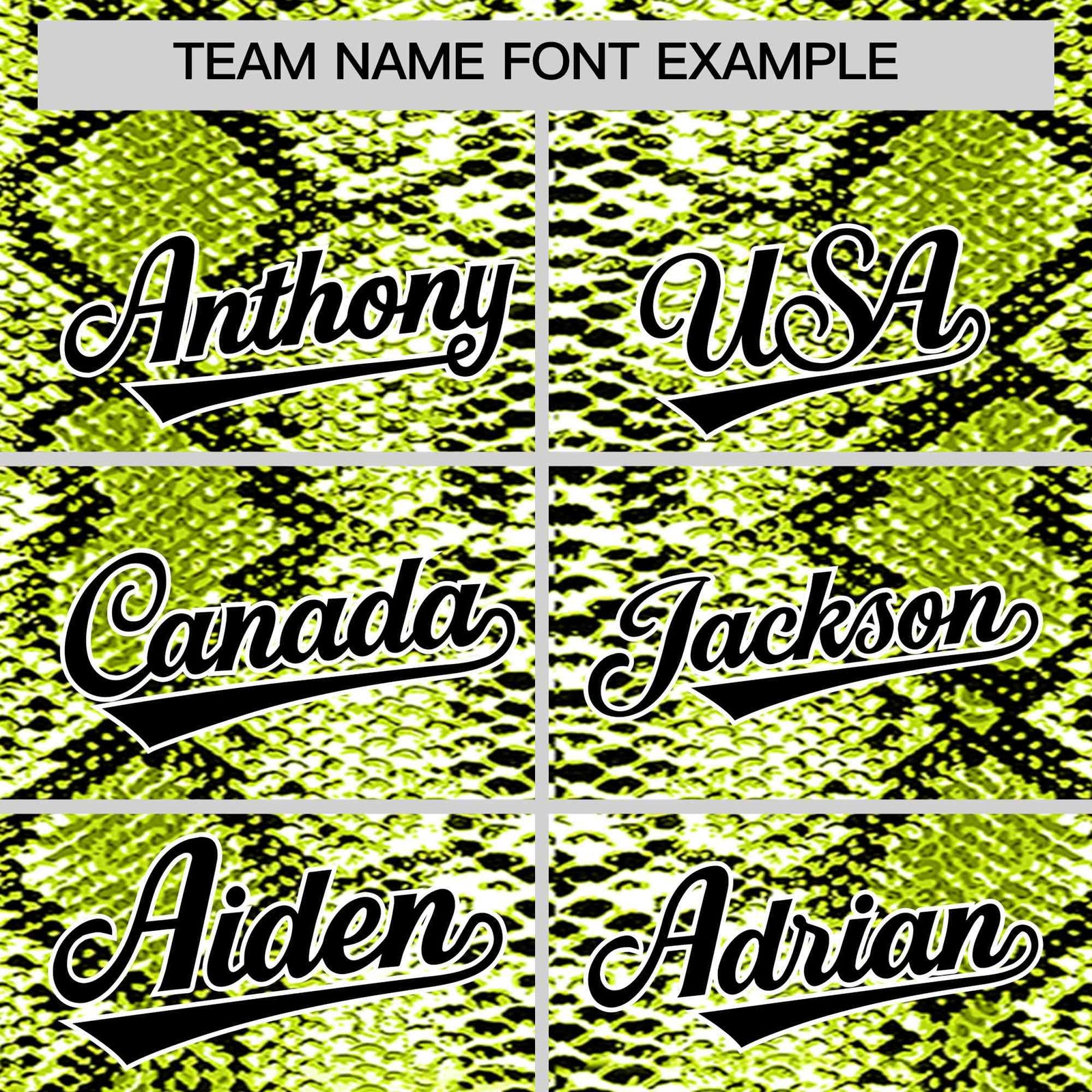 Custom Multi Color Snakeskin Pattern Authentic Baseball Jersey