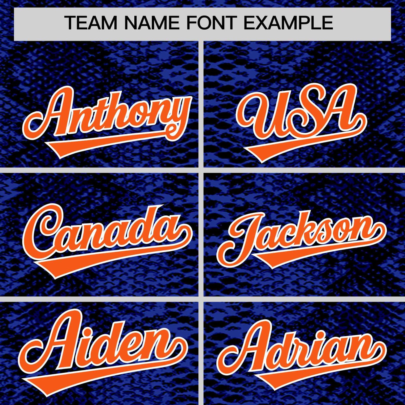 Custom Multi Color Snakeskin Pattern Authentic Baseball Jersey