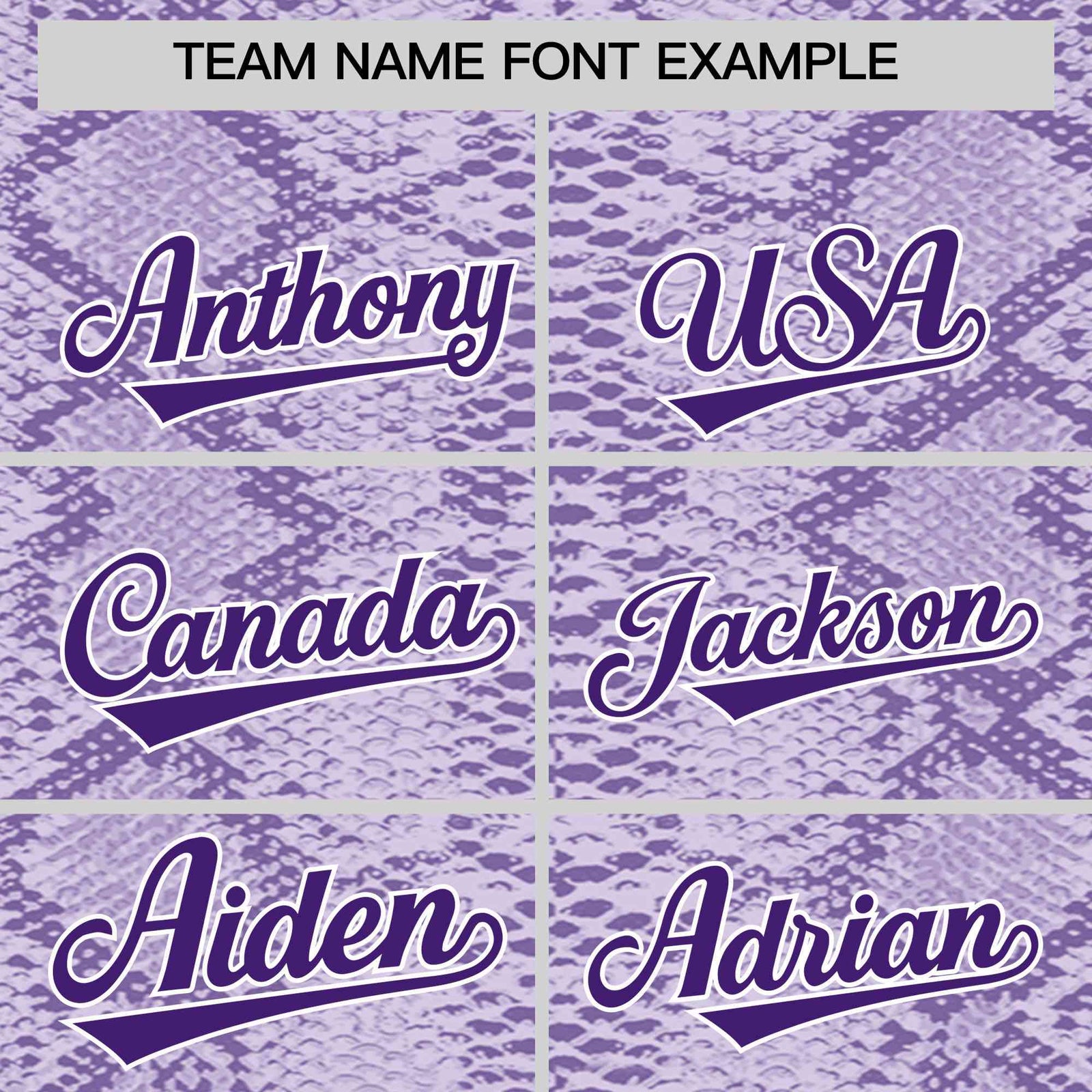 Custom Multi Color Snakeskin Pattern Authentic Baseball Jersey