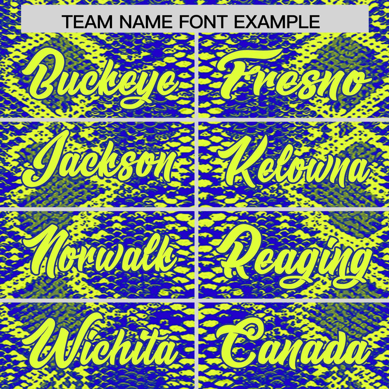 Custom Multi Color Snakeskin Pattern Authentic Baseball Jersey