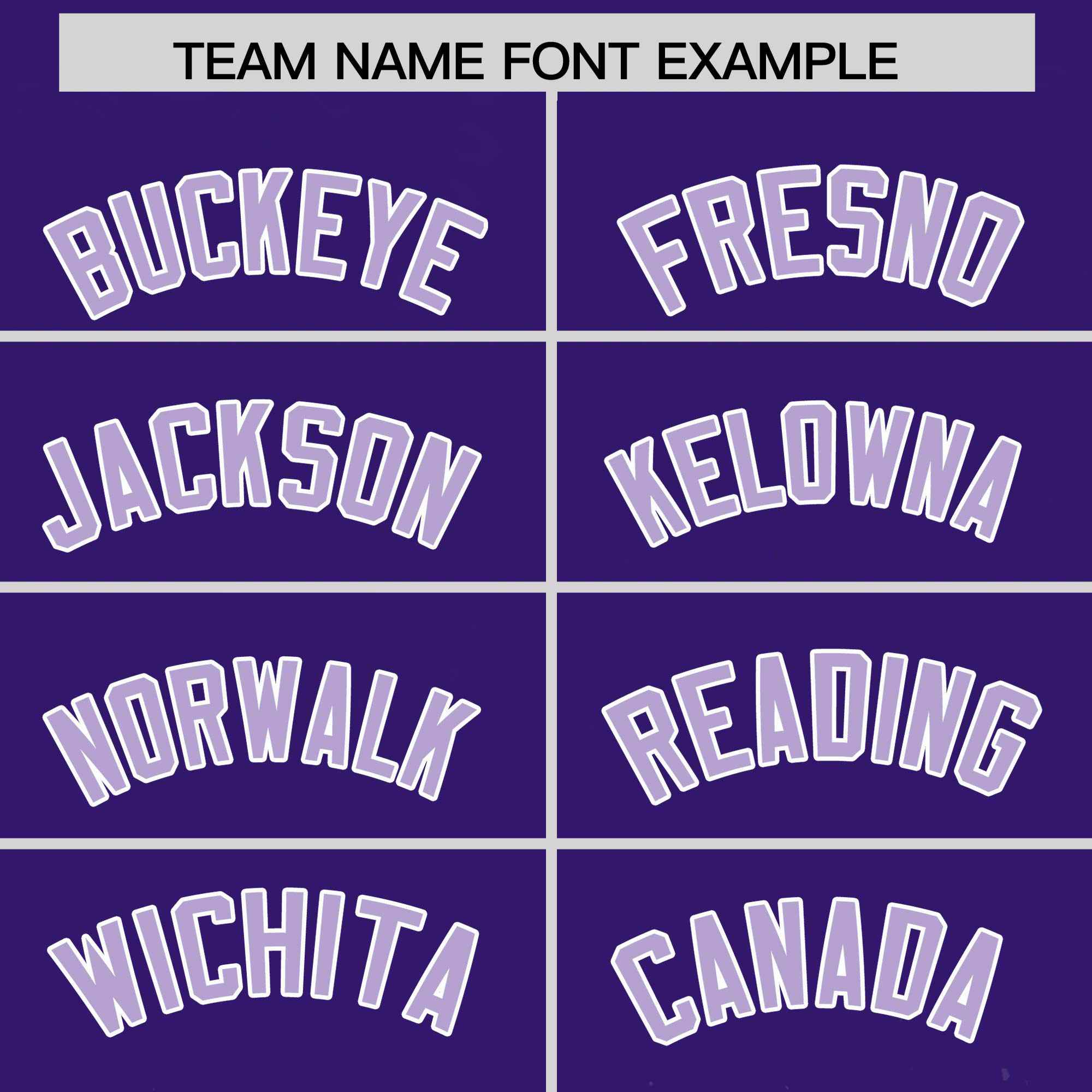 Custom Purple Light Purple Floral Print Pattern Full Button Gradient Fashion Baseball Jersey