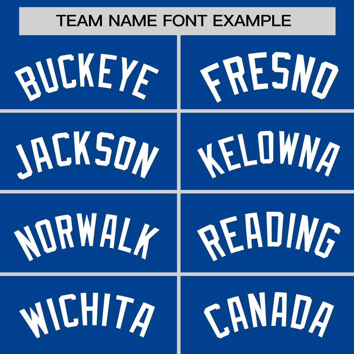 Custom Royal White Stripe Fashion Raglan Sleeves Authentic Baseball Jersey