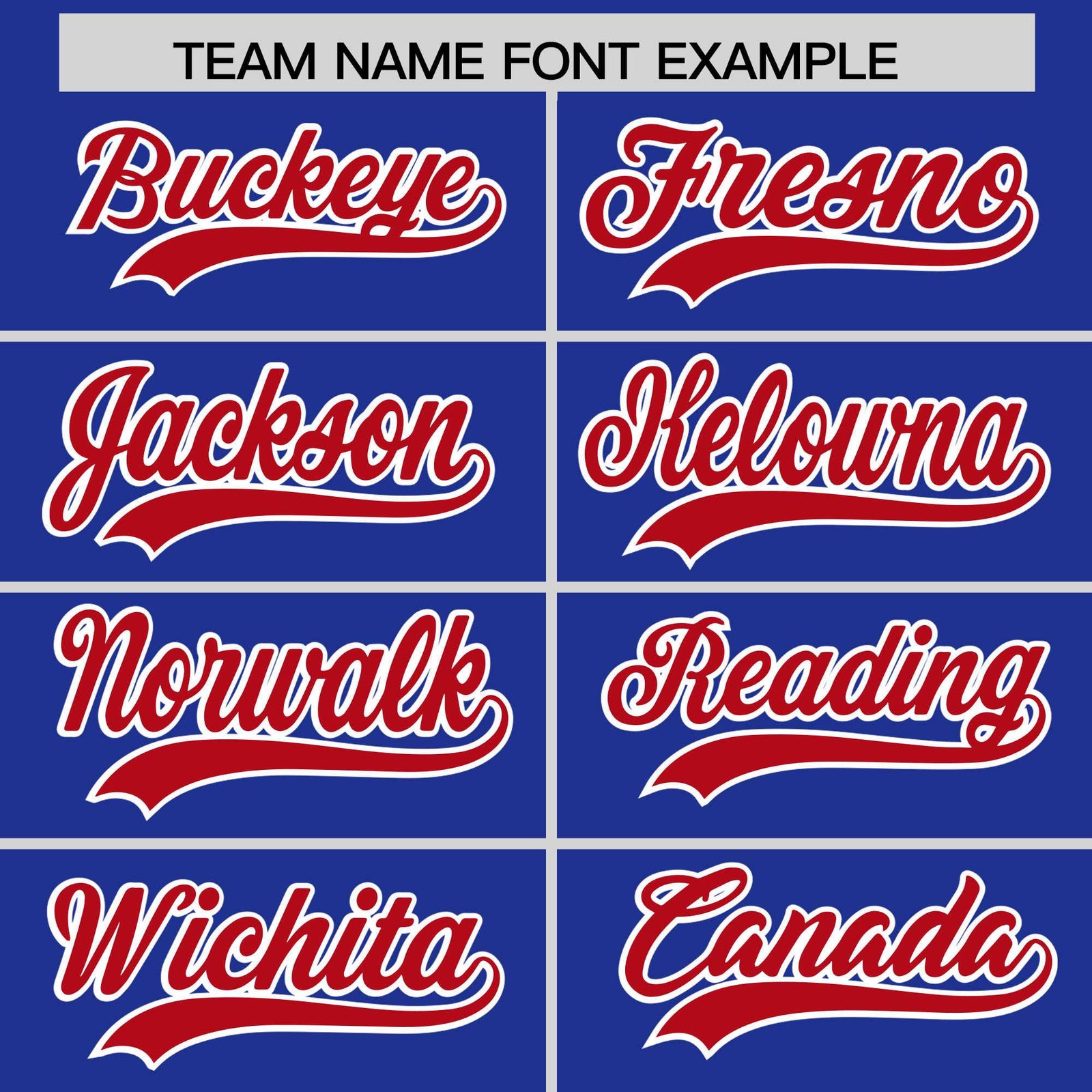 Custom Royal Red Personalized Leopard Graffiti Pattern Side Design Authentic Baseball Jersey