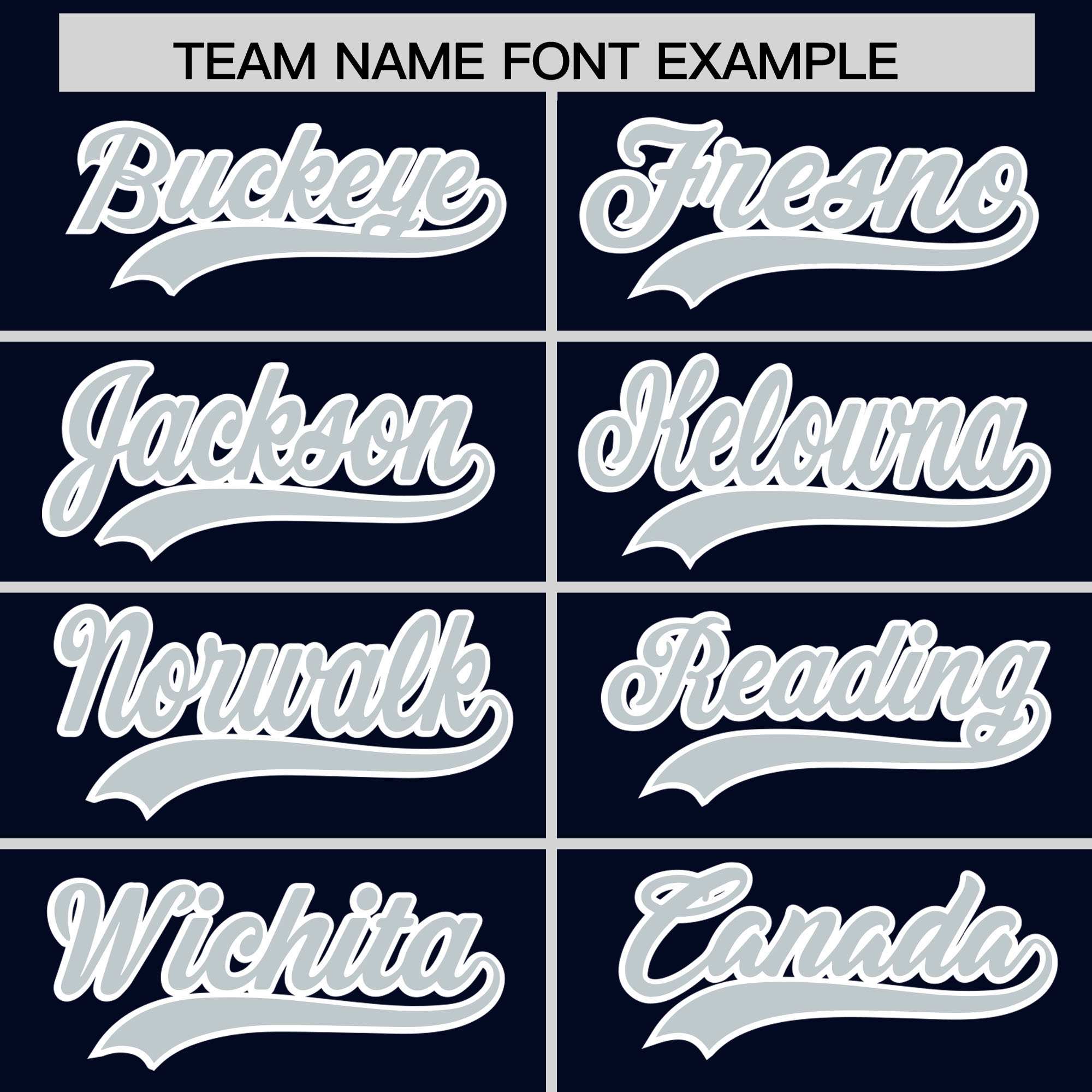 Custom Navy Silver Personalized Leopard Graffiti Pattern Side Design Authentic Baseball Jersey