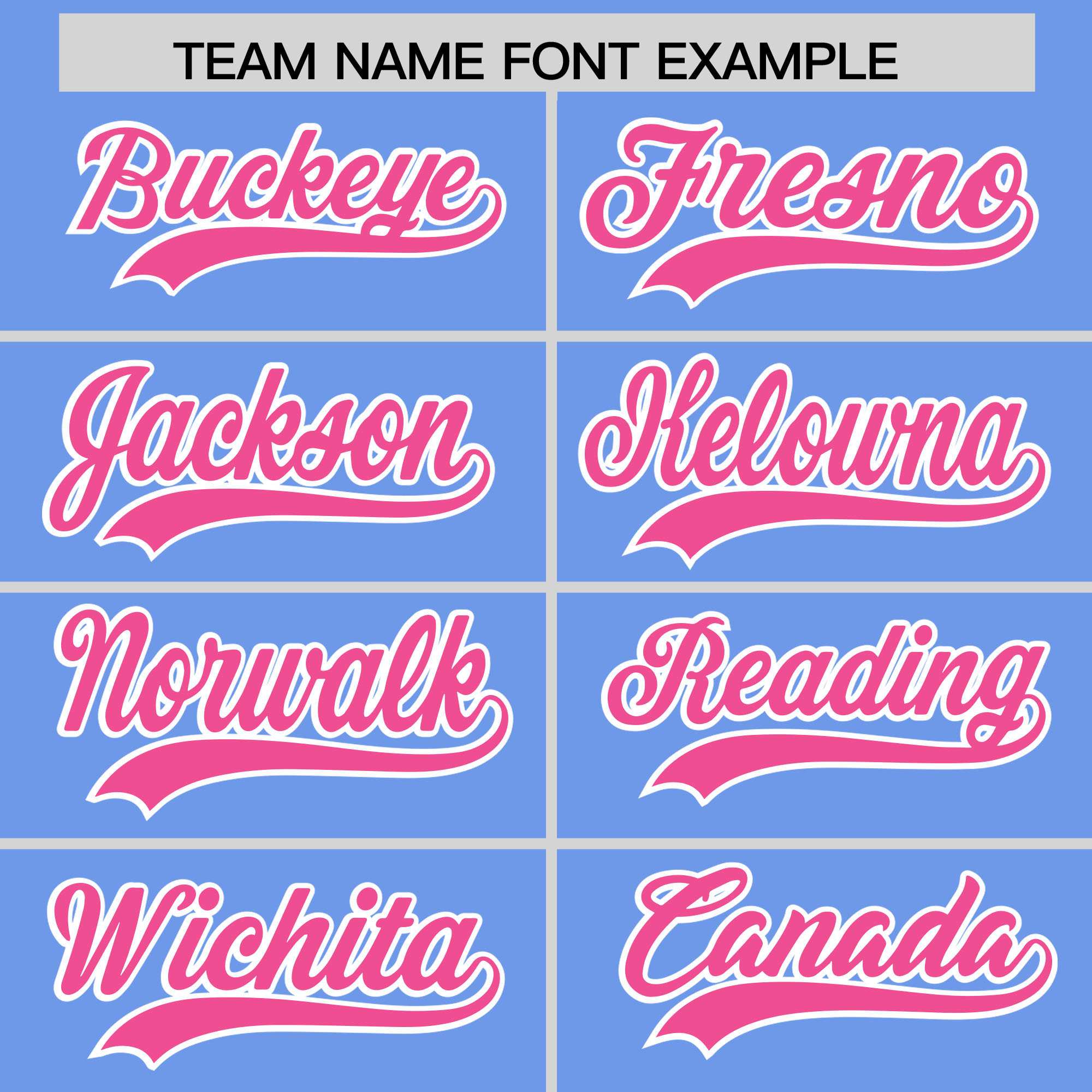 Custom Powder Blue Pink Personalized Leopard Graffiti Pattern Side Design Authentic Baseball Jersey
