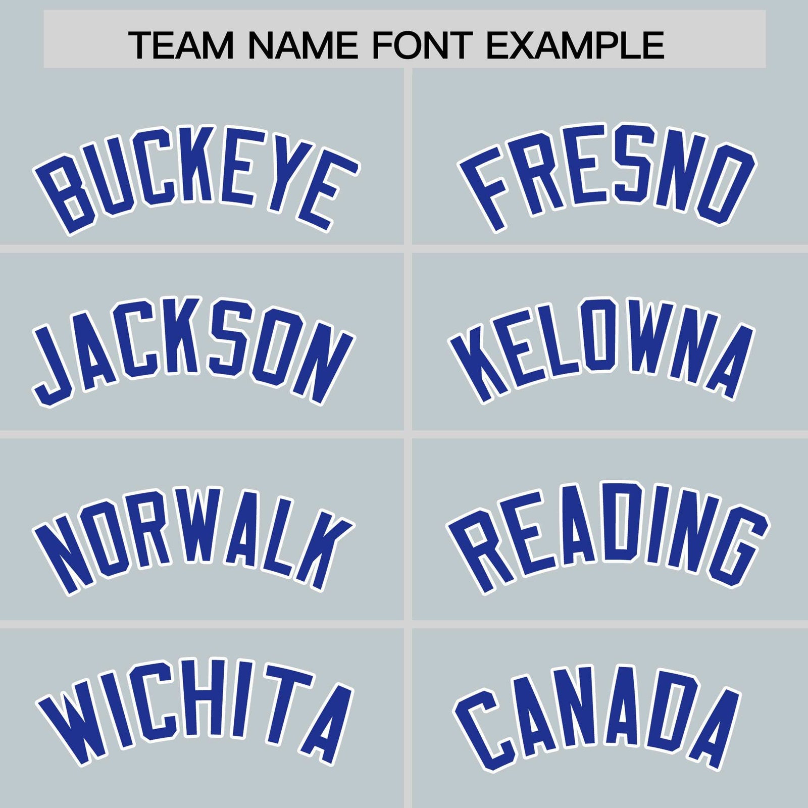 Custom Silver Royal Personalized Leopard Graffiti Pattern Side Design Authentic Baseball Jersey