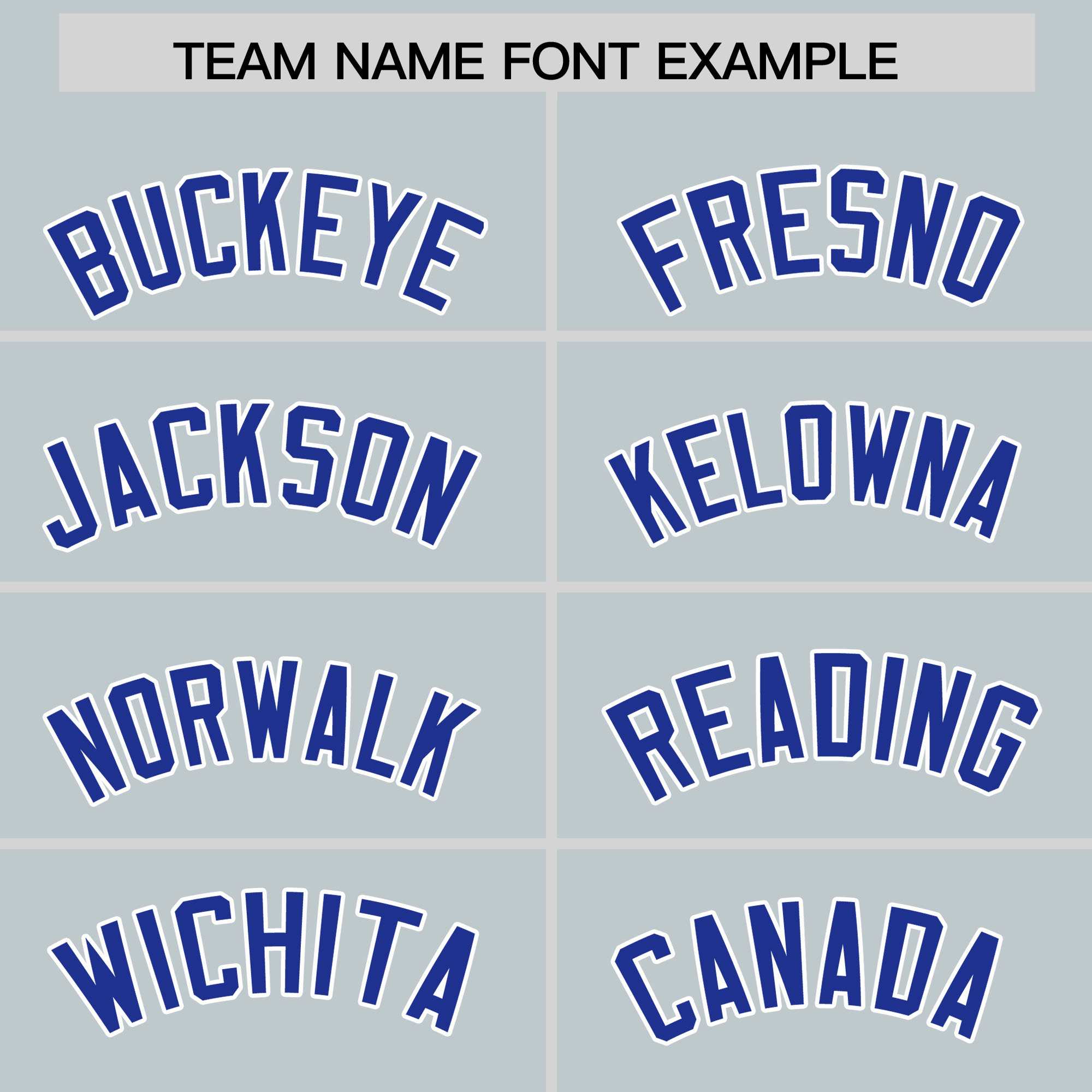 Custom Silver Royal Personalized Leopard Graffiti Pattern Side Design Authentic Baseball Jersey