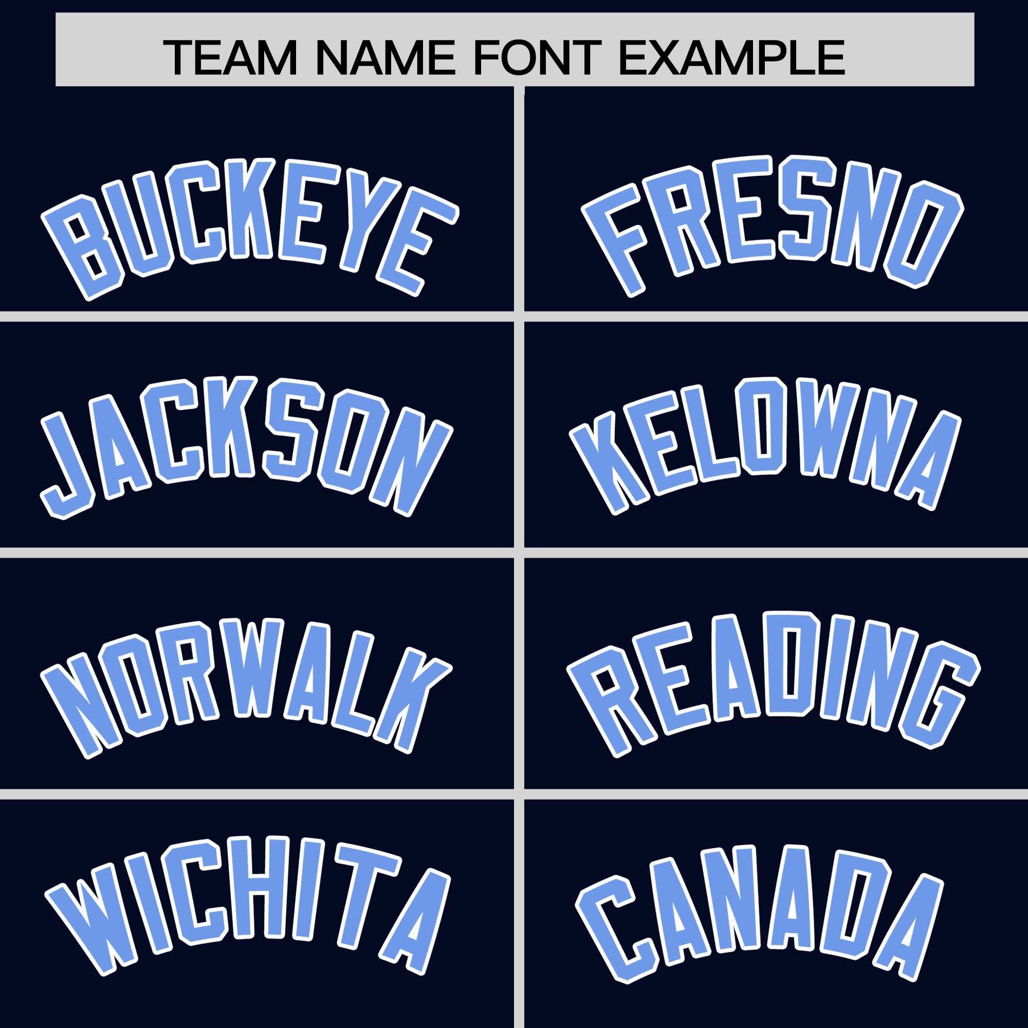 Custom Navy Powder Blue Personalized Leopard Graffiti Pattern Side Design Authentic Baseball Jersey