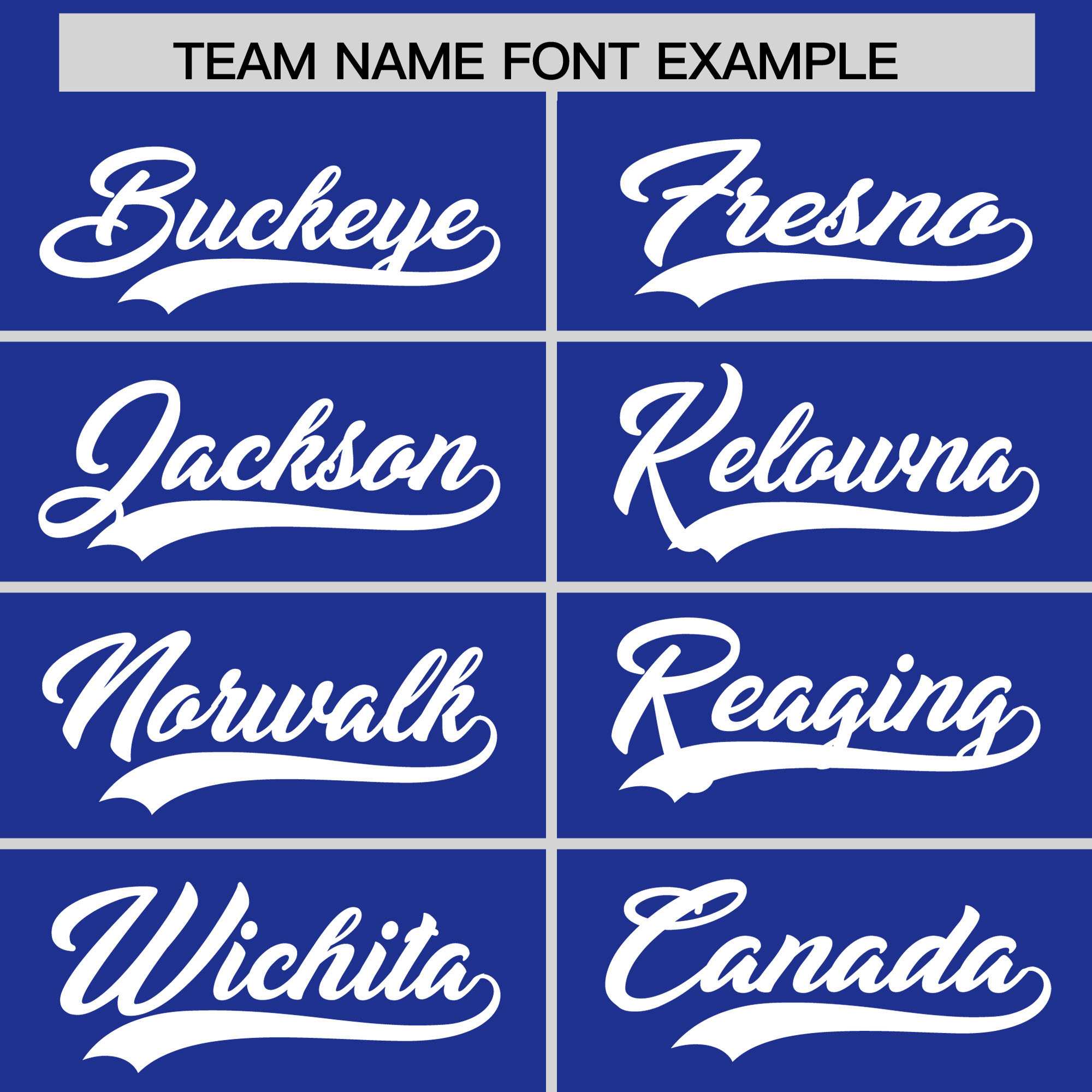 Custom Royal White Personalized Leopard Graffiti Pattern Side Design Authentic Baseball Jersey