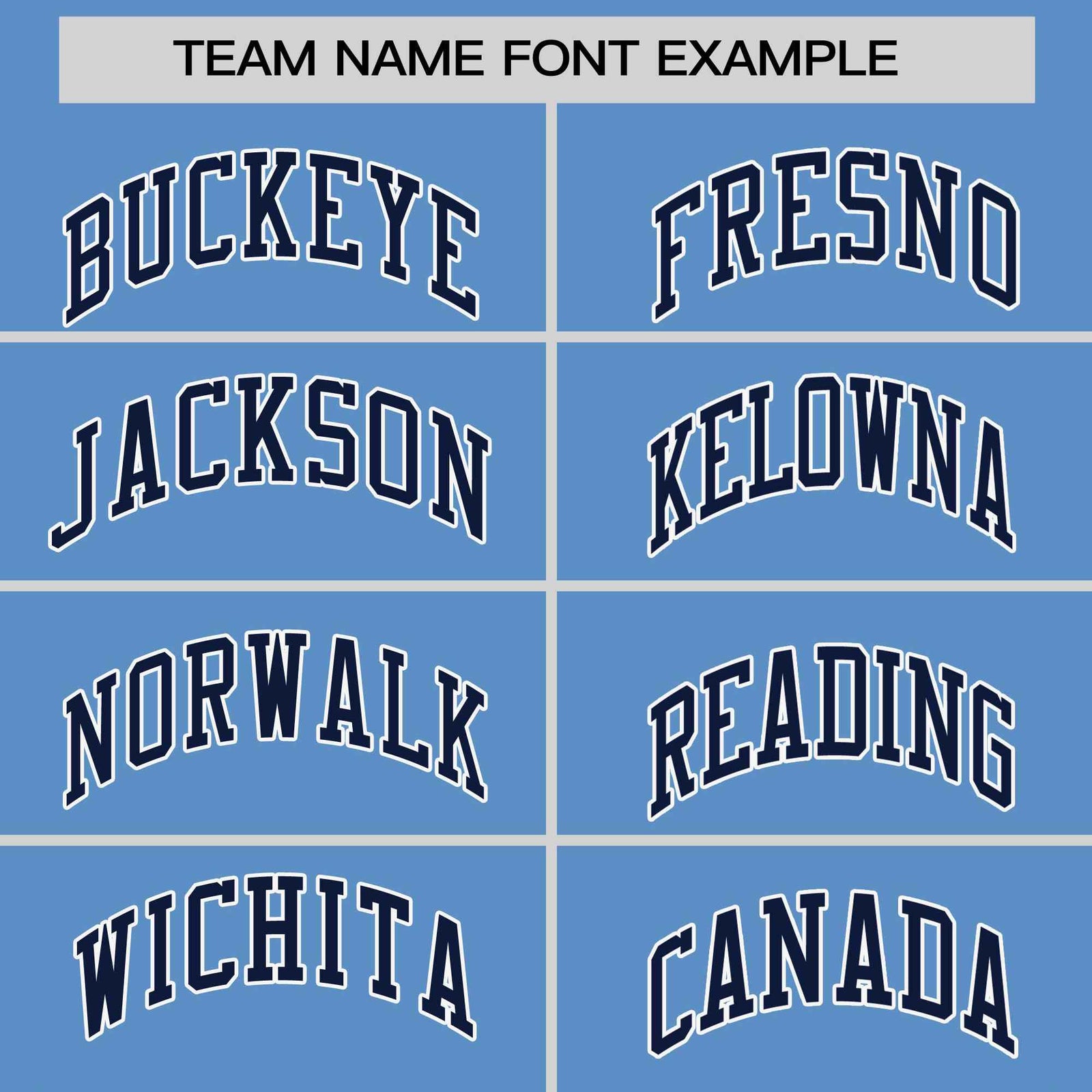 Custom Light Blue Navy-White Stripe Fashion Raglan Sleeves Authentic Two-Button Softball Jersey