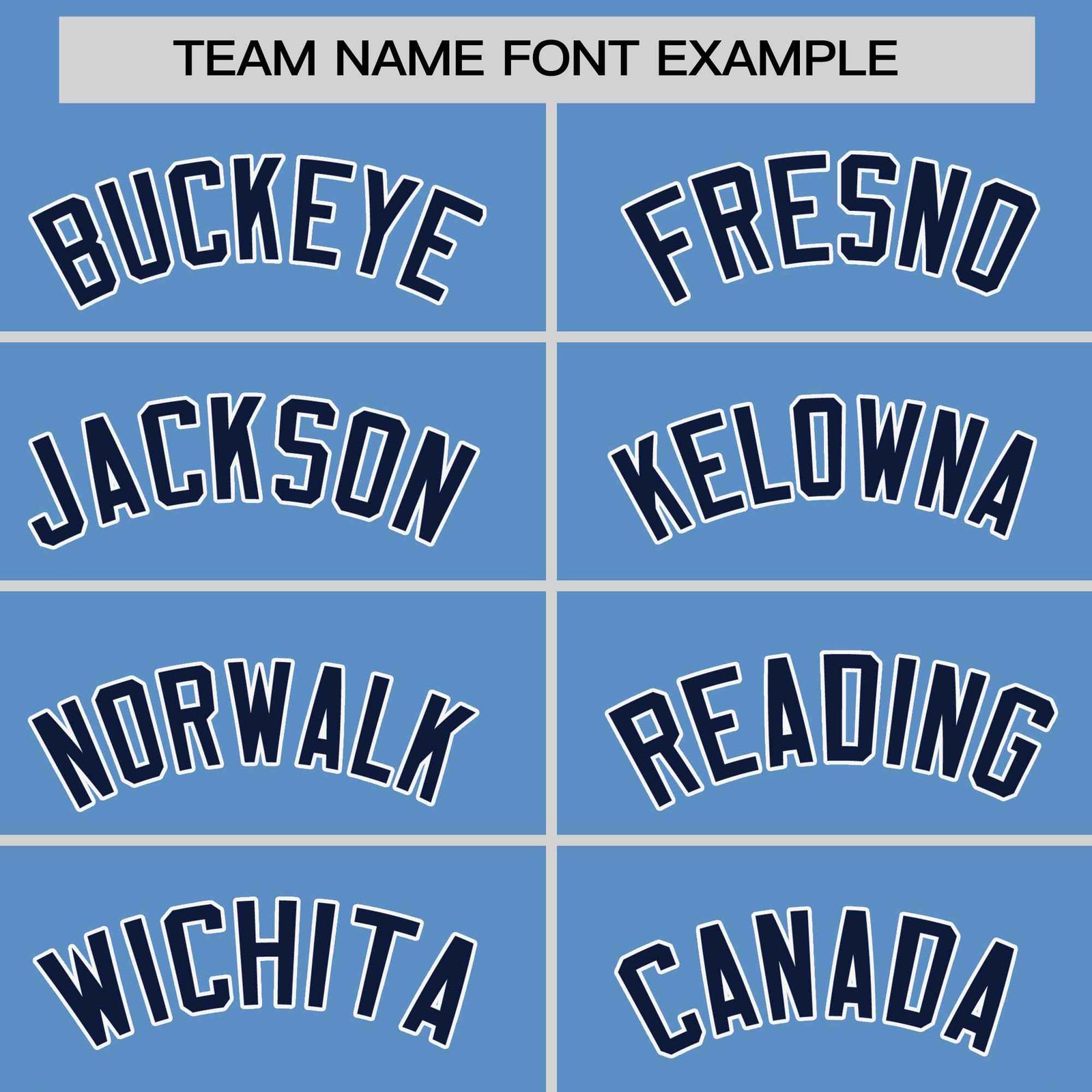 Custom Light Blue Navy-White Stripe Fashion Raglan Sleeves Authentic Two-Button Softball Jersey