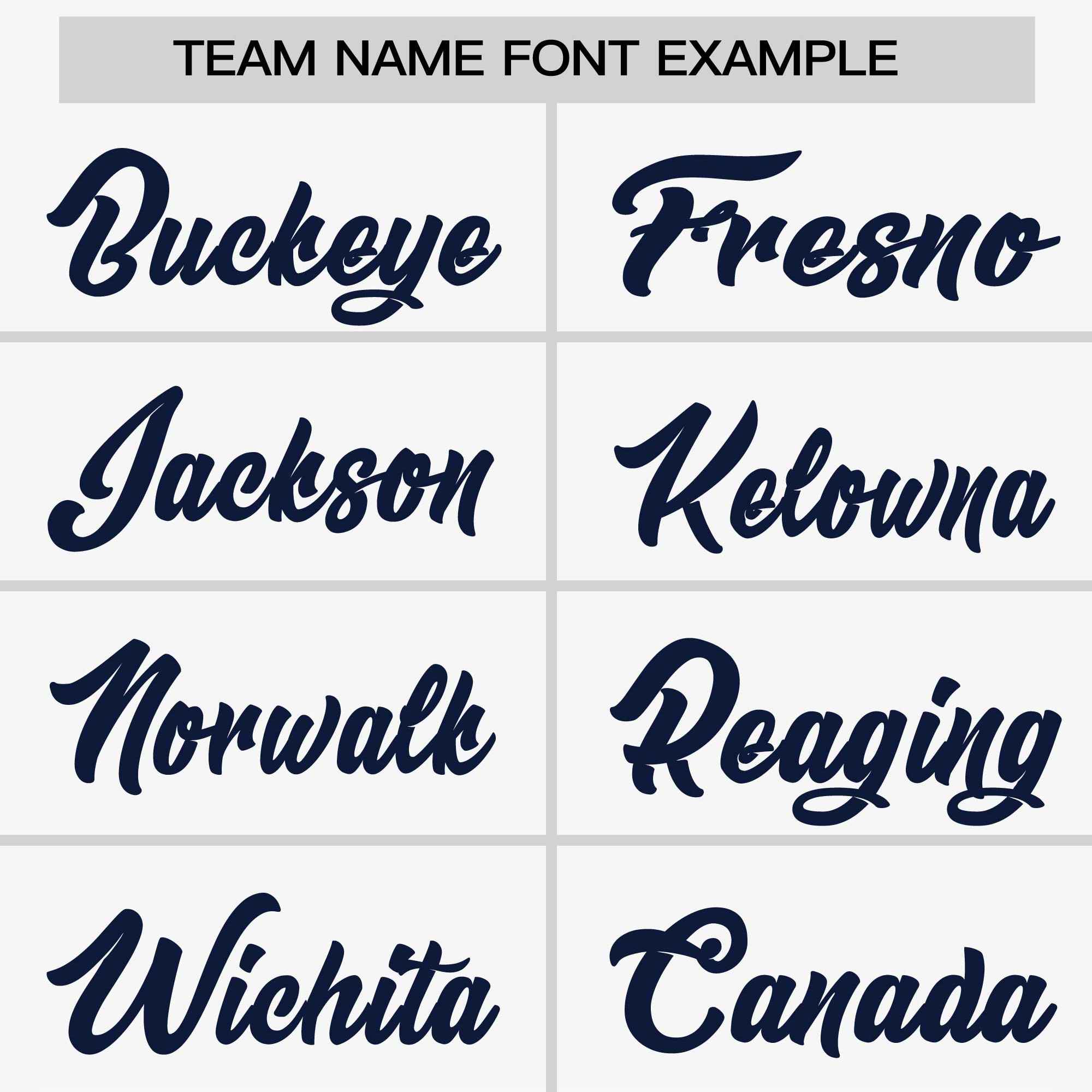 Custom White Navy Stripe Fashion Raglan Sleeves Authentic Two-Button Softball Jersey