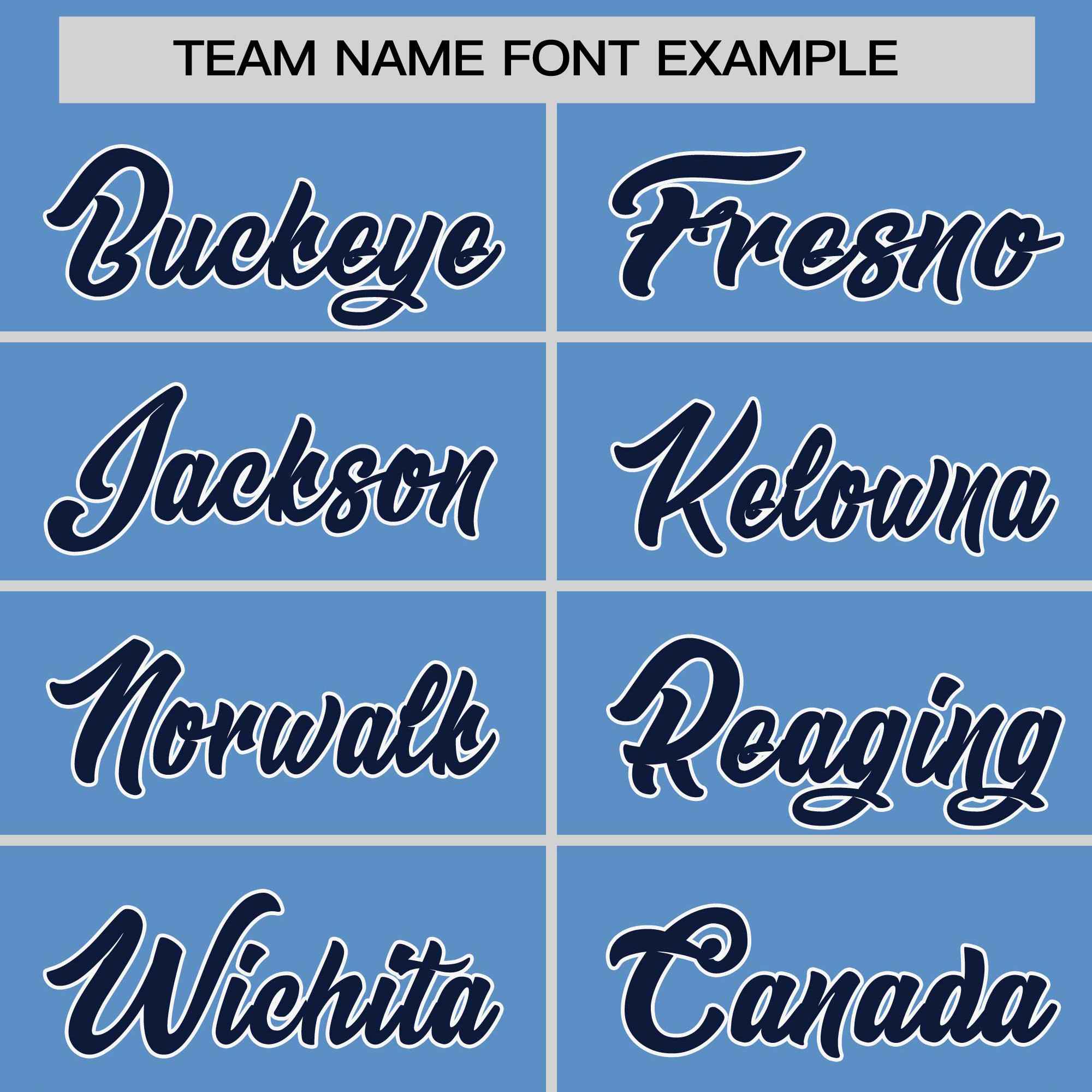 Custom Light Blue Navy-White Stripe Fashion Raglan Sleeves Authentic Two-Button Softball Jersey