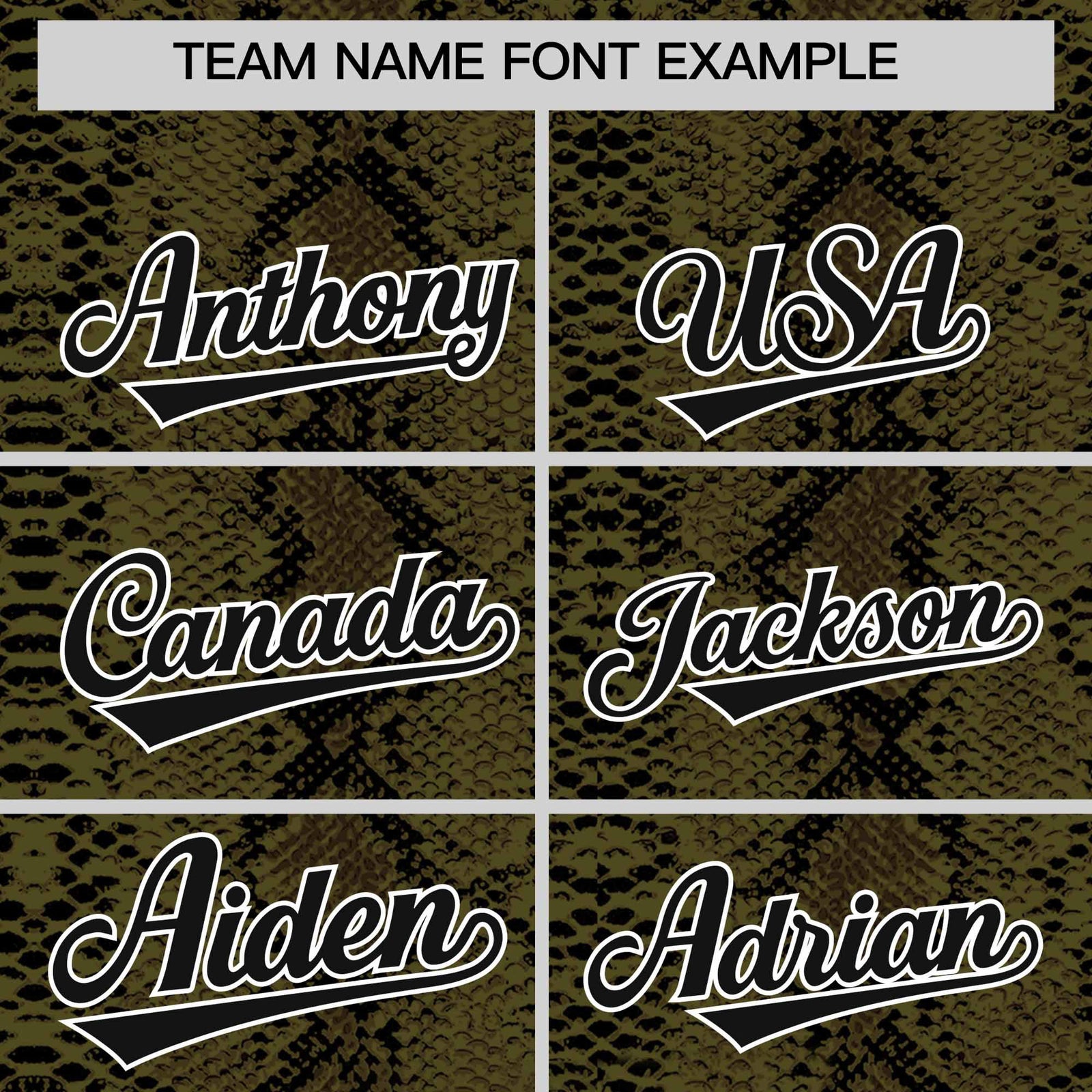 Custom Black Snakeskin Pattern Authentic Sleeveless Baseball Jersey