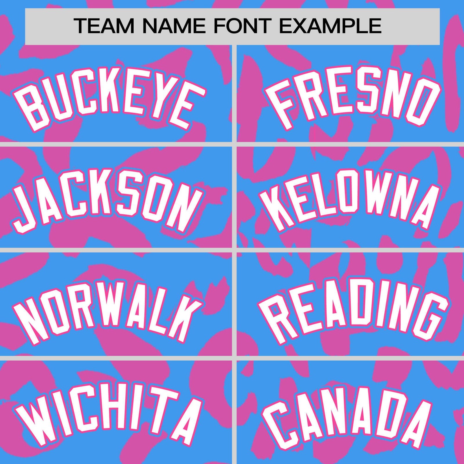 Custom Powder Blue Pink Varsity Full-Snap Leopard Print Graffiti Pattern Letterman Baseball Jacket