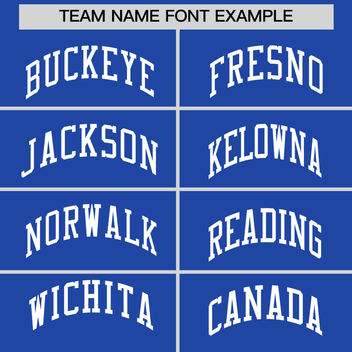 Custom Royal Blue White Raglan Sleeves Full-Snap Varsity Faux Leather Letterman Jacket| KXKSHOP