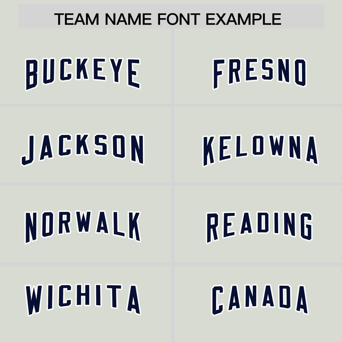 Custom Gray Panther Blue Personalized Star Pattern Raglan Sleeves Authentic Football Jersey