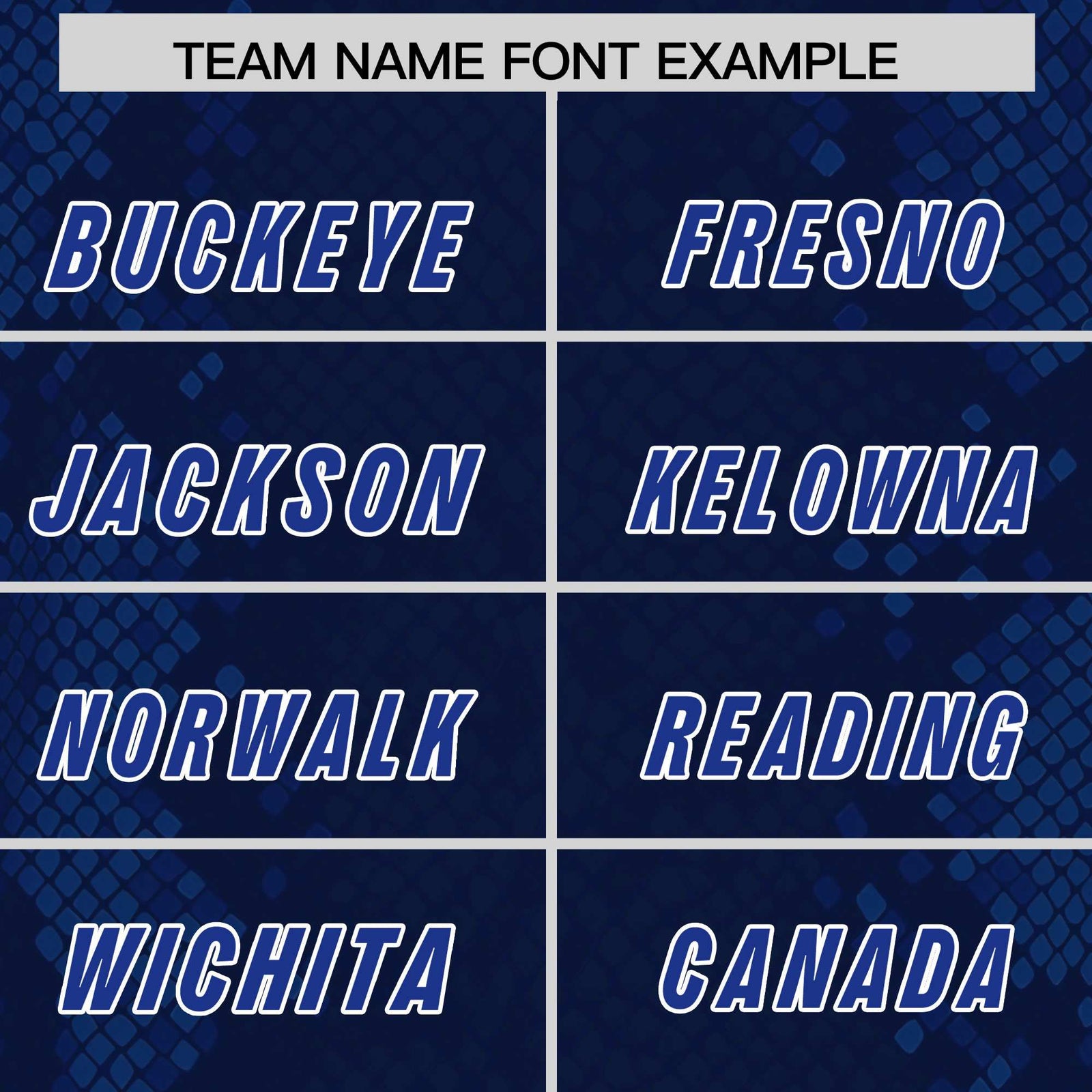 Custom Navy Personalized Snakeskin Graffiti Pattern Authentic Football Jersey