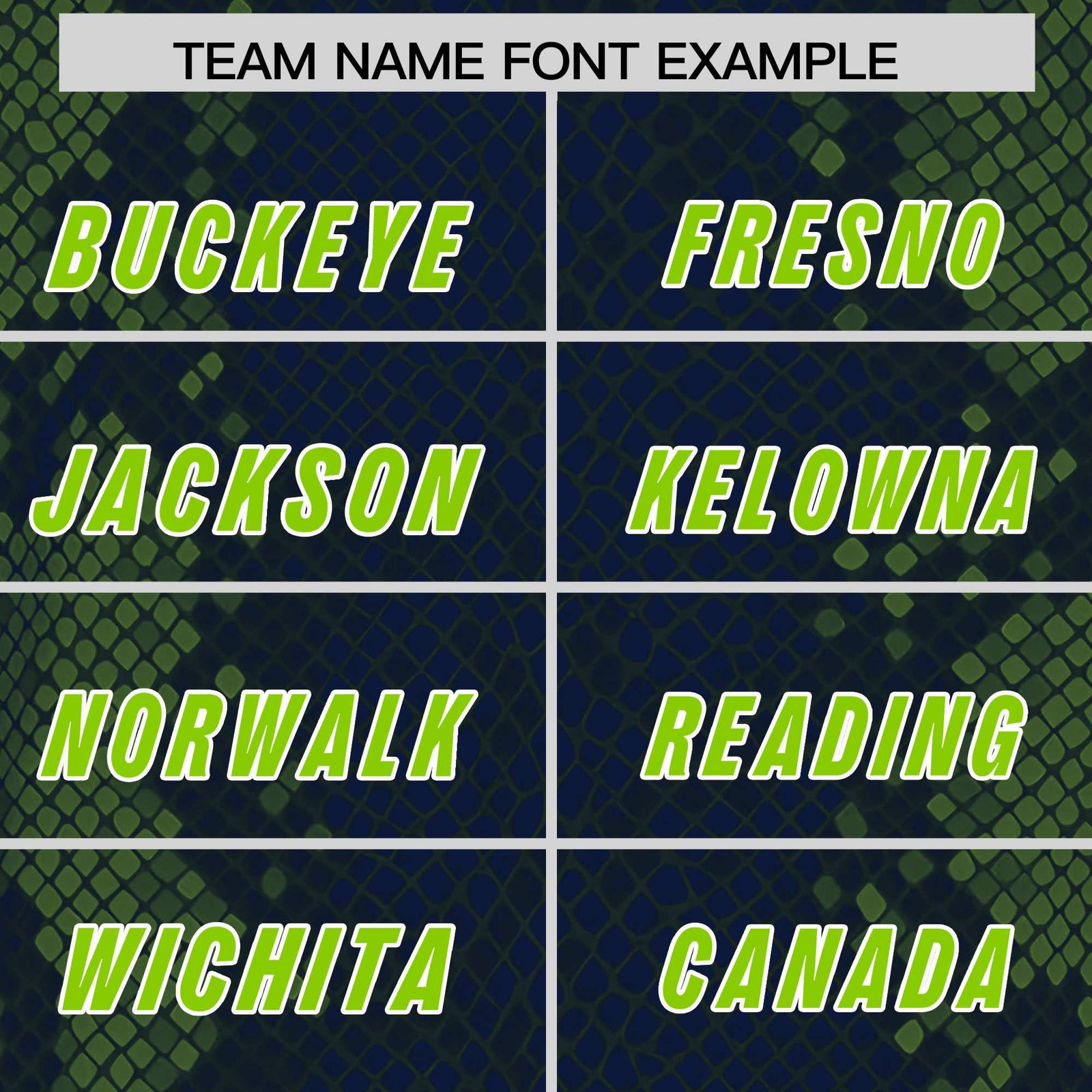 Custom Navy Personalized Snakeskin Graffiti Pattern Authentic Football Jersey