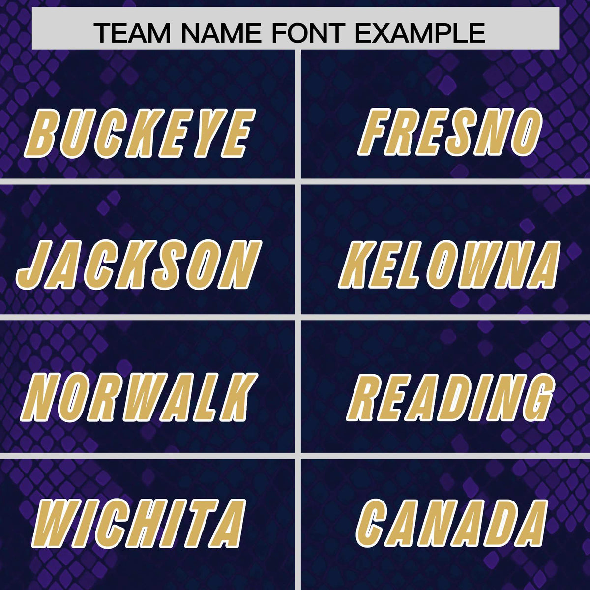 Custom Navy Personalized Snakeskin Graffiti Pattern Authentic Football Jersey