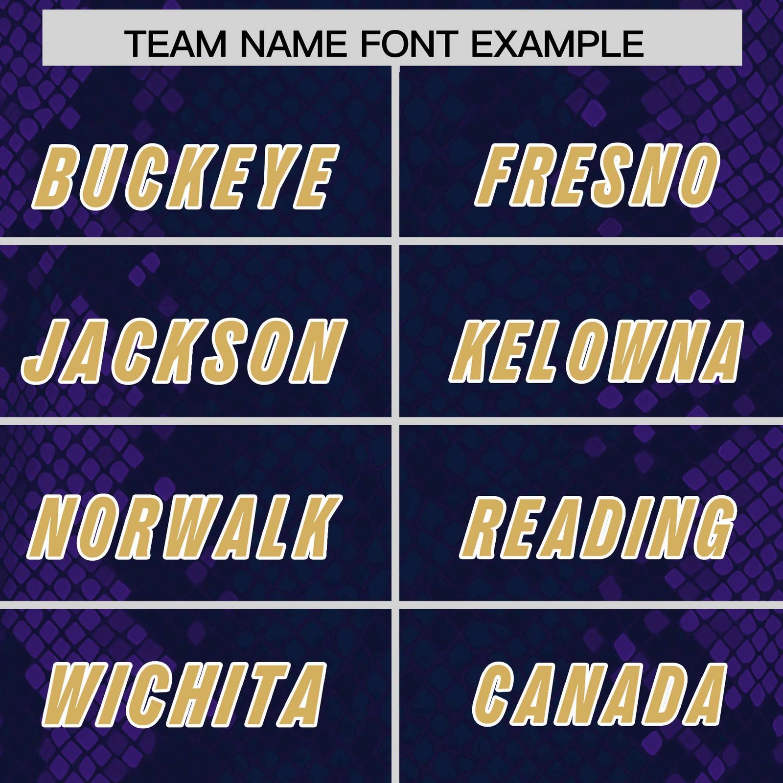 Custom Navy Personalized Snakeskin Graffiti Pattern Authentic Football Jersey