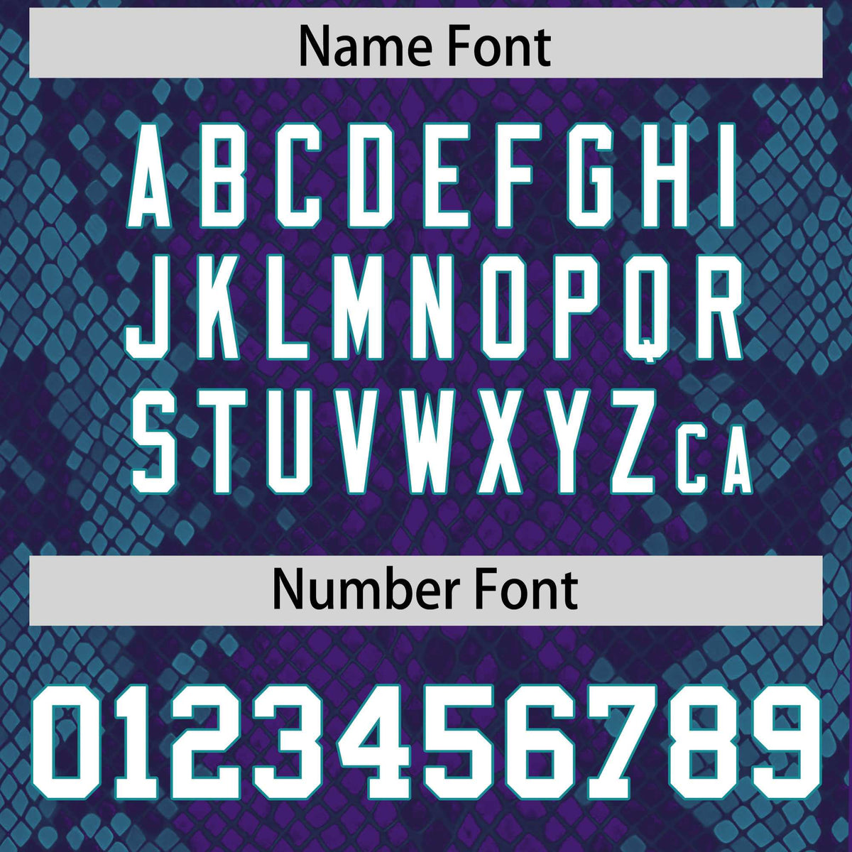 Custom Purple Personalized Snakeskin Graffiti Pattern Authentic Football Jersey