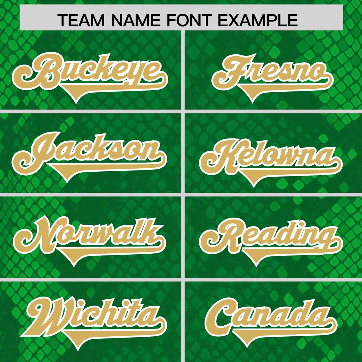 Custom Kelly Green Personalized Snakeskin Graffiti Pattern Authentic Football Jersey