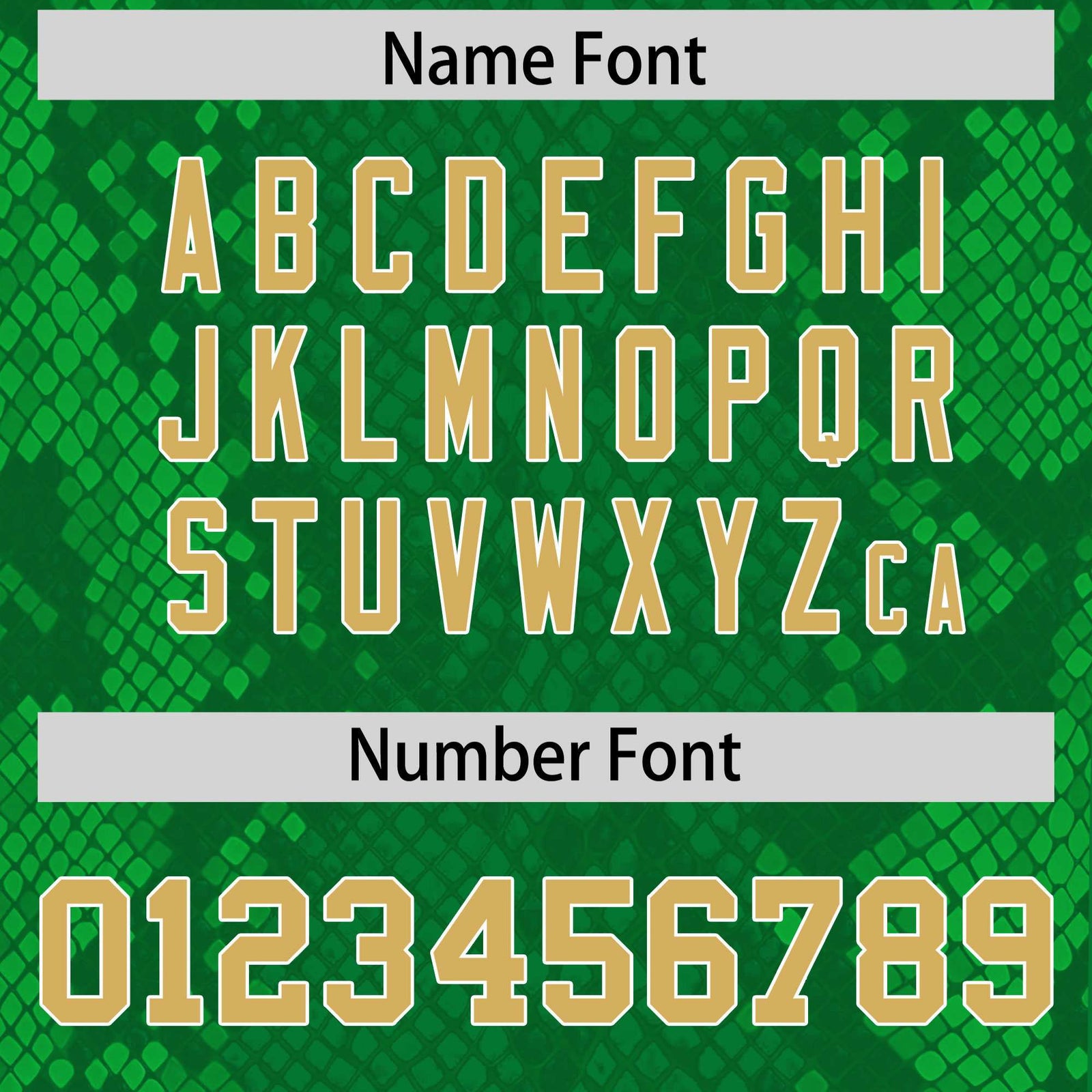 Custom Kelly Green Personalized Snakeskin Graffiti Pattern Authentic Football Jersey