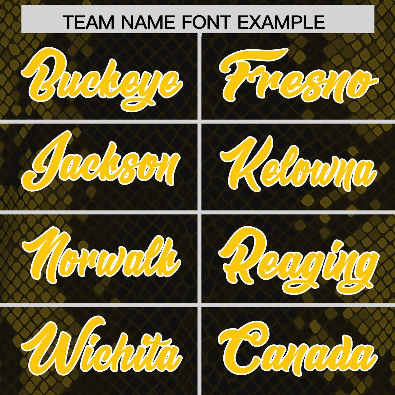 Custom Black Personalized Snakeskin Graffiti Pattern Authentic Football Jersey