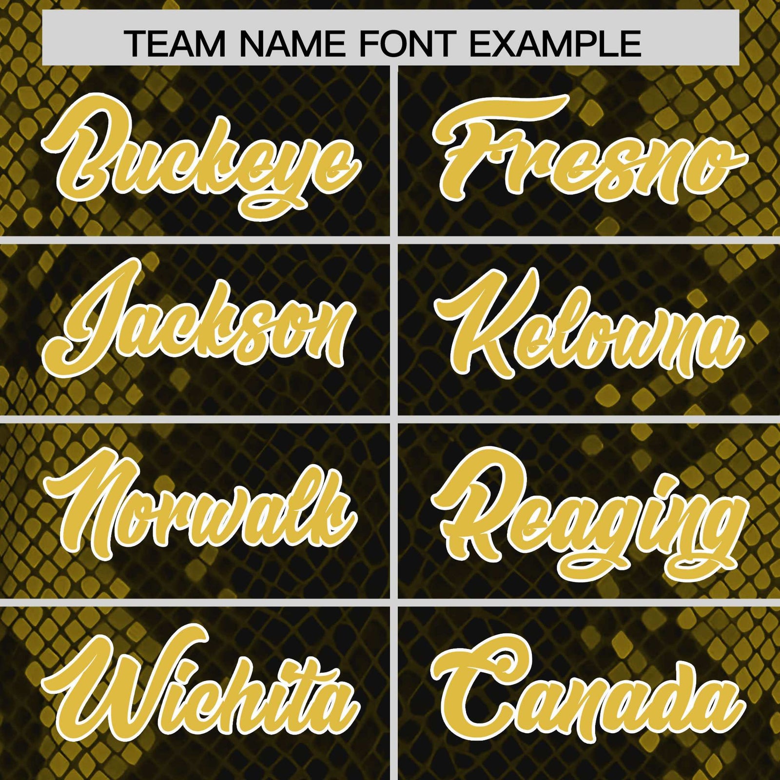 Custom Black Personalized Snakeskin Graffiti Pattern Authentic Football Jersey