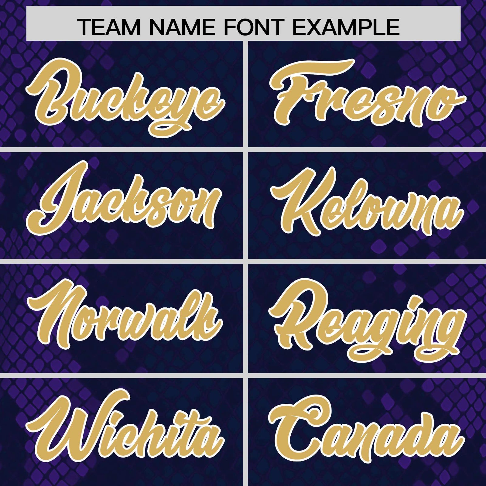 Custom Navy Personalized Snakeskin Graffiti Pattern Authentic Football Jersey