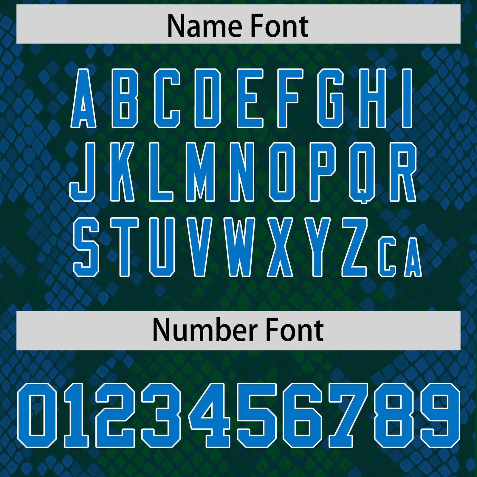 Custom Green Personalized Snakeskin Graffiti Pattern Authentic Football Jersey