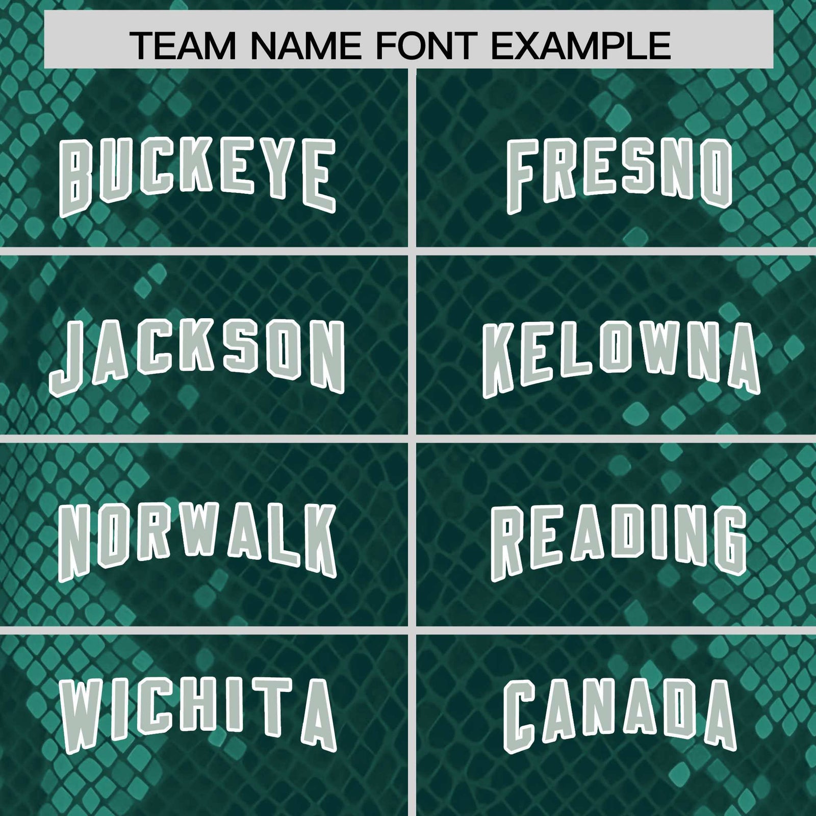 Custom Midnight Green Personalized Snakeskin Graffiti Pattern Authentic Football Jersey