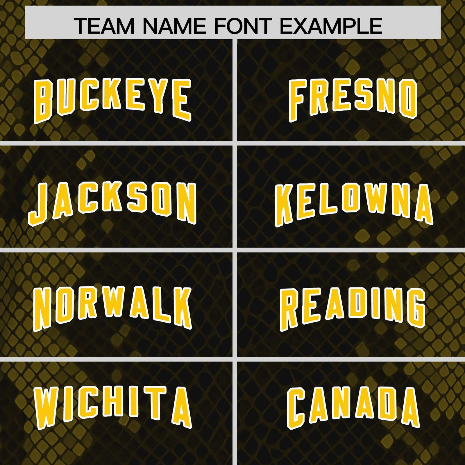 Custom Black Personalized Snakeskin Graffiti Pattern Authentic Football Jersey