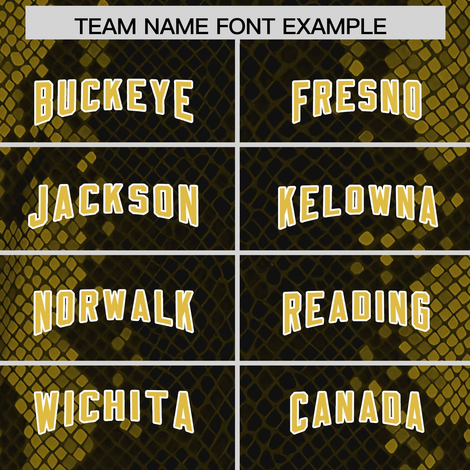 Custom Black Personalized Snakeskin Graffiti Pattern Authentic Football Jersey