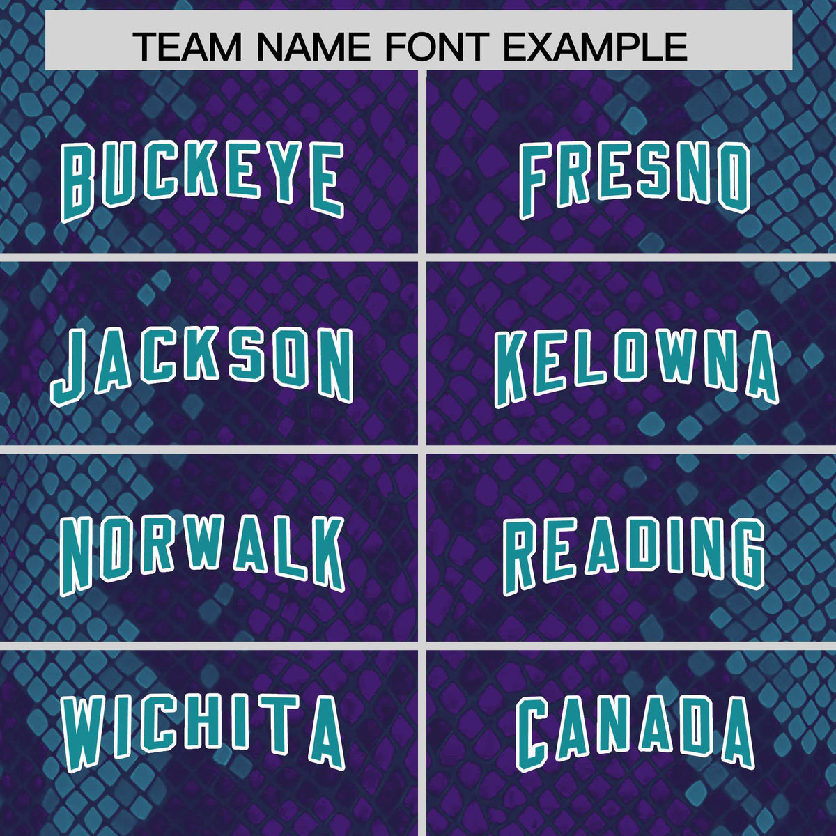 Custom Purple Personalized Snakeskin Graffiti Pattern Authentic Football Jersey