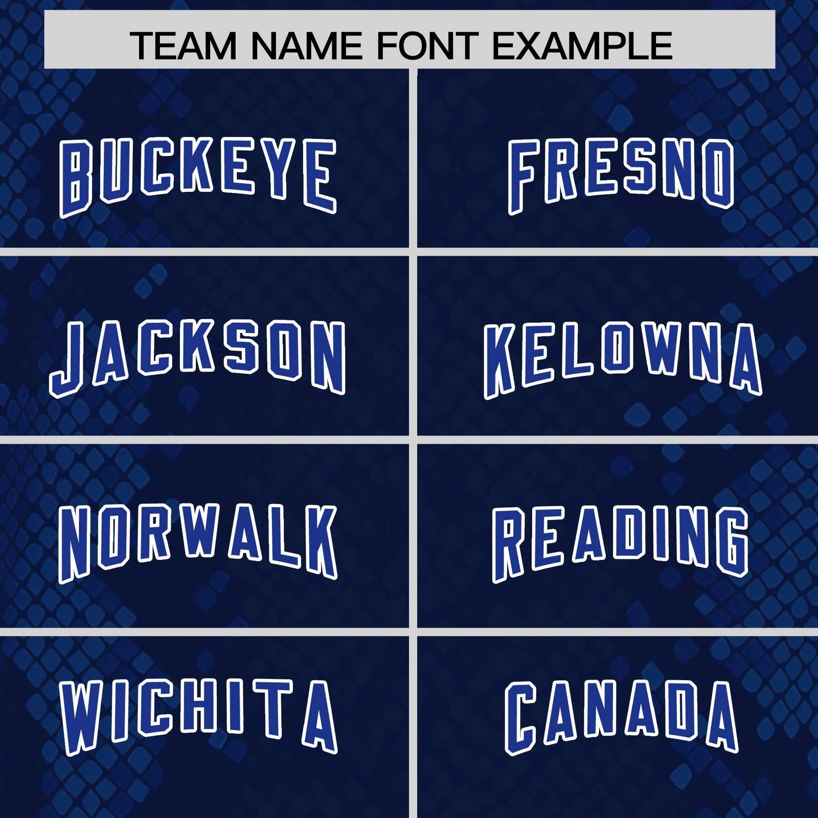 Custom Navy Personalized Snakeskin Graffiti Pattern Authentic Football Jersey