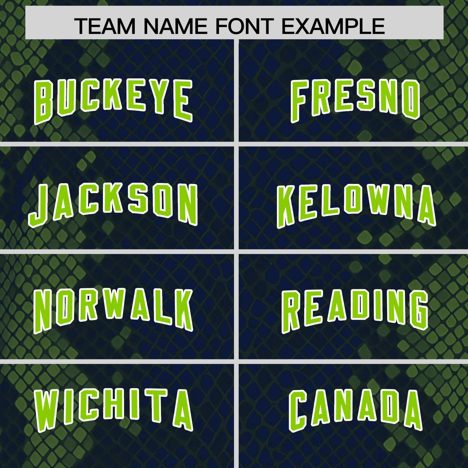 Custom Navy Personalized Snakeskin Graffiti Pattern Authentic Football Jersey