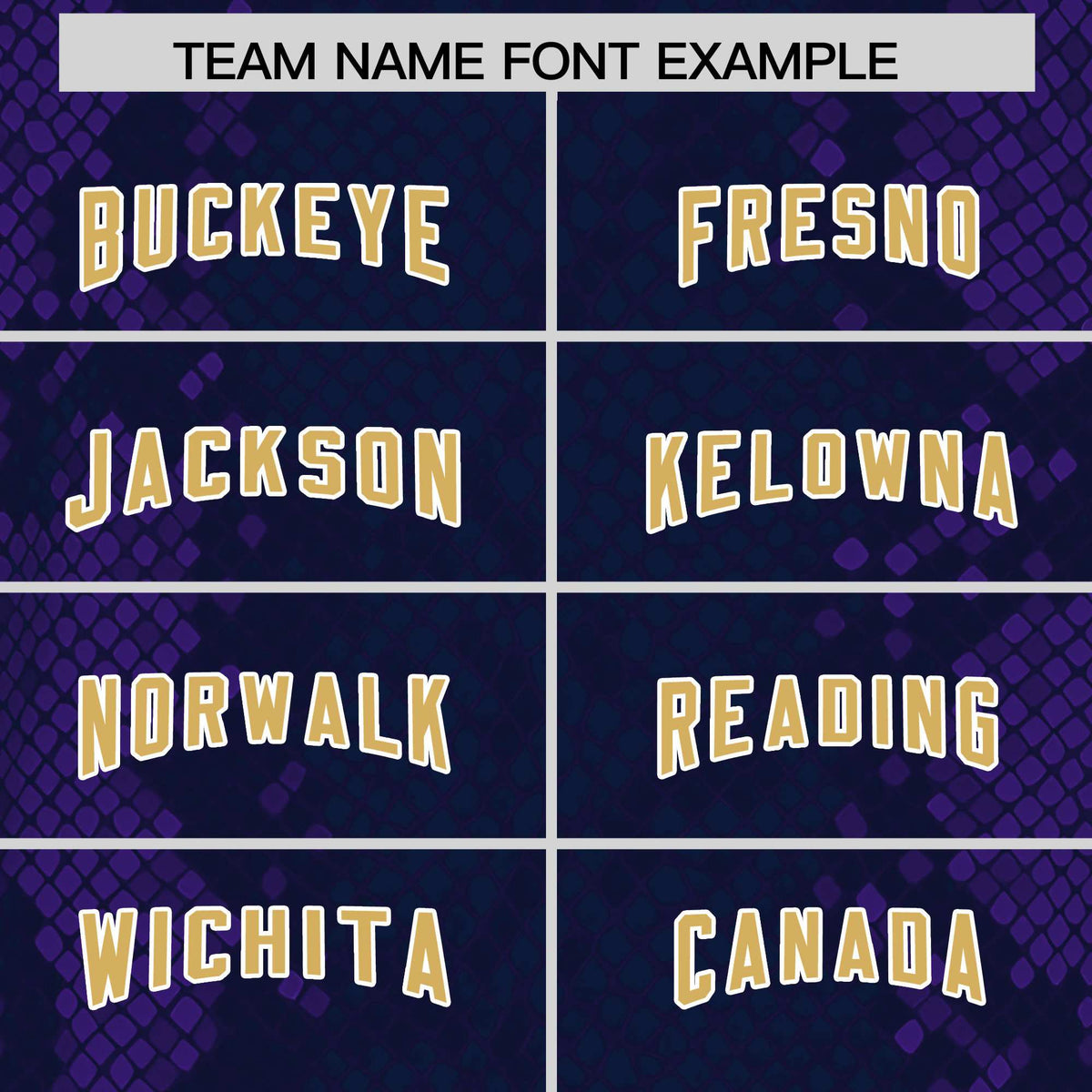 Custom Navy Personalized Snakeskin Graffiti Pattern Authentic Football Jersey