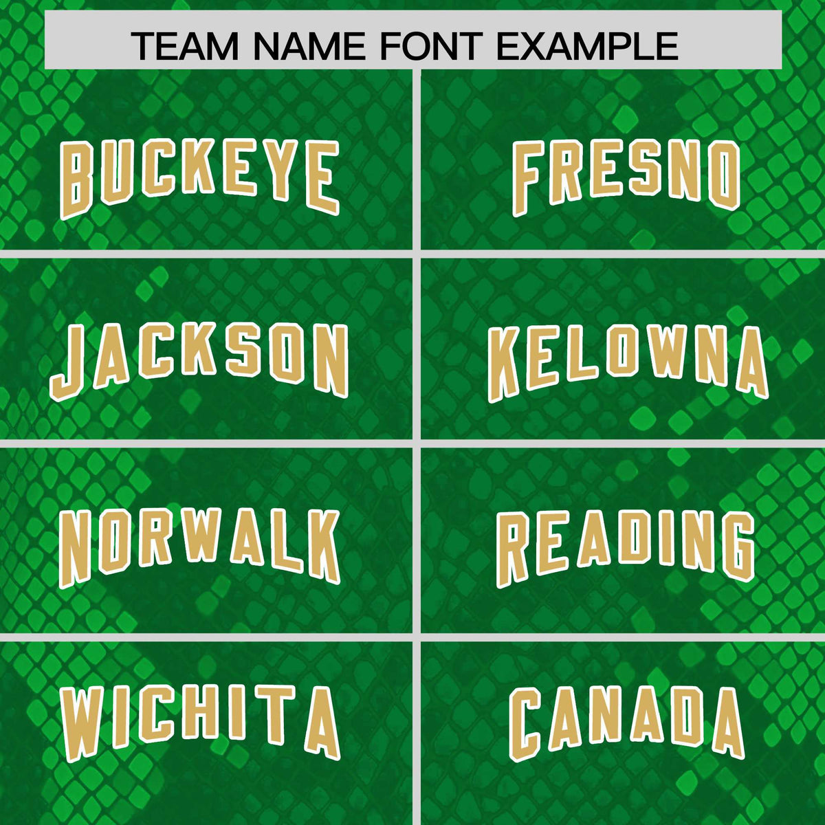 Custom Kelly Green Personalized Snakeskin Graffiti Pattern Authentic Football Jersey