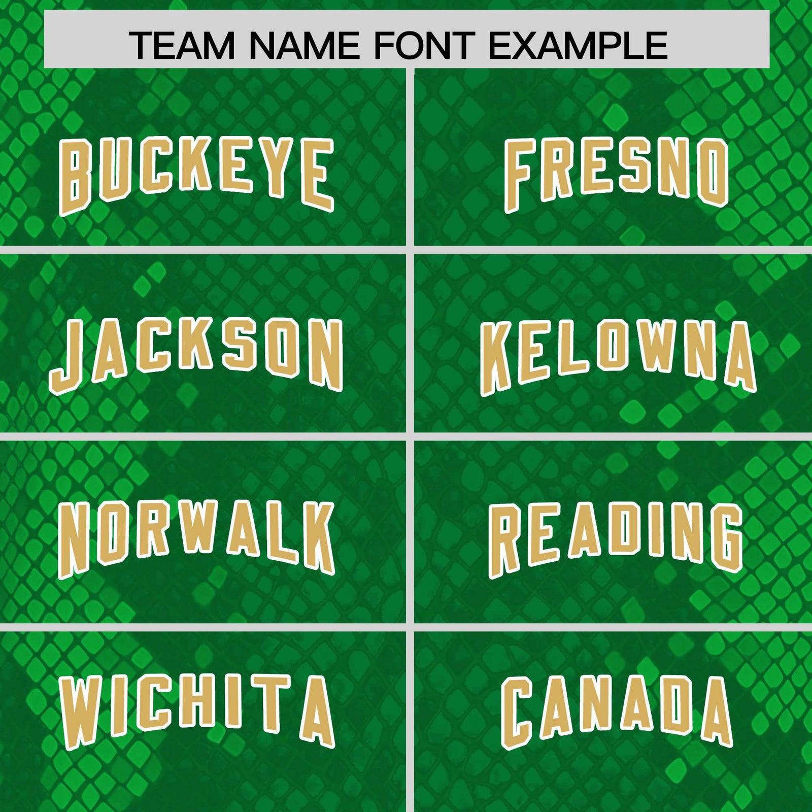 Custom Kelly Green Personalized Snakeskin Graffiti Pattern Authentic Football Jersey