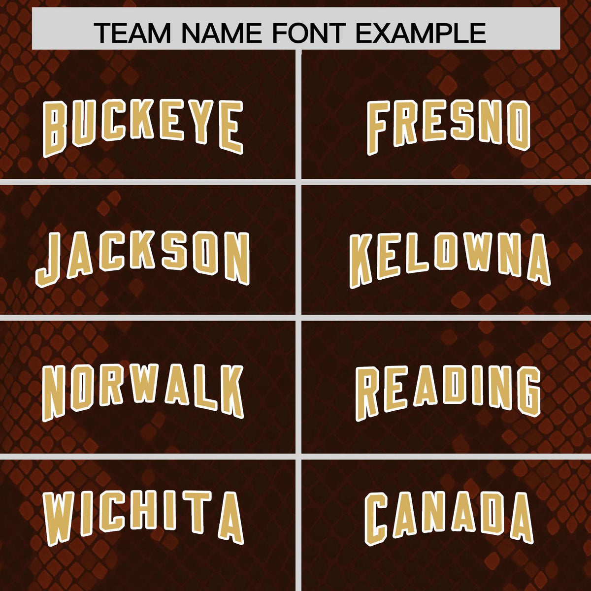 Custom Brown Personalized Snakeskin Graffiti Pattern Authentic Football Jersey