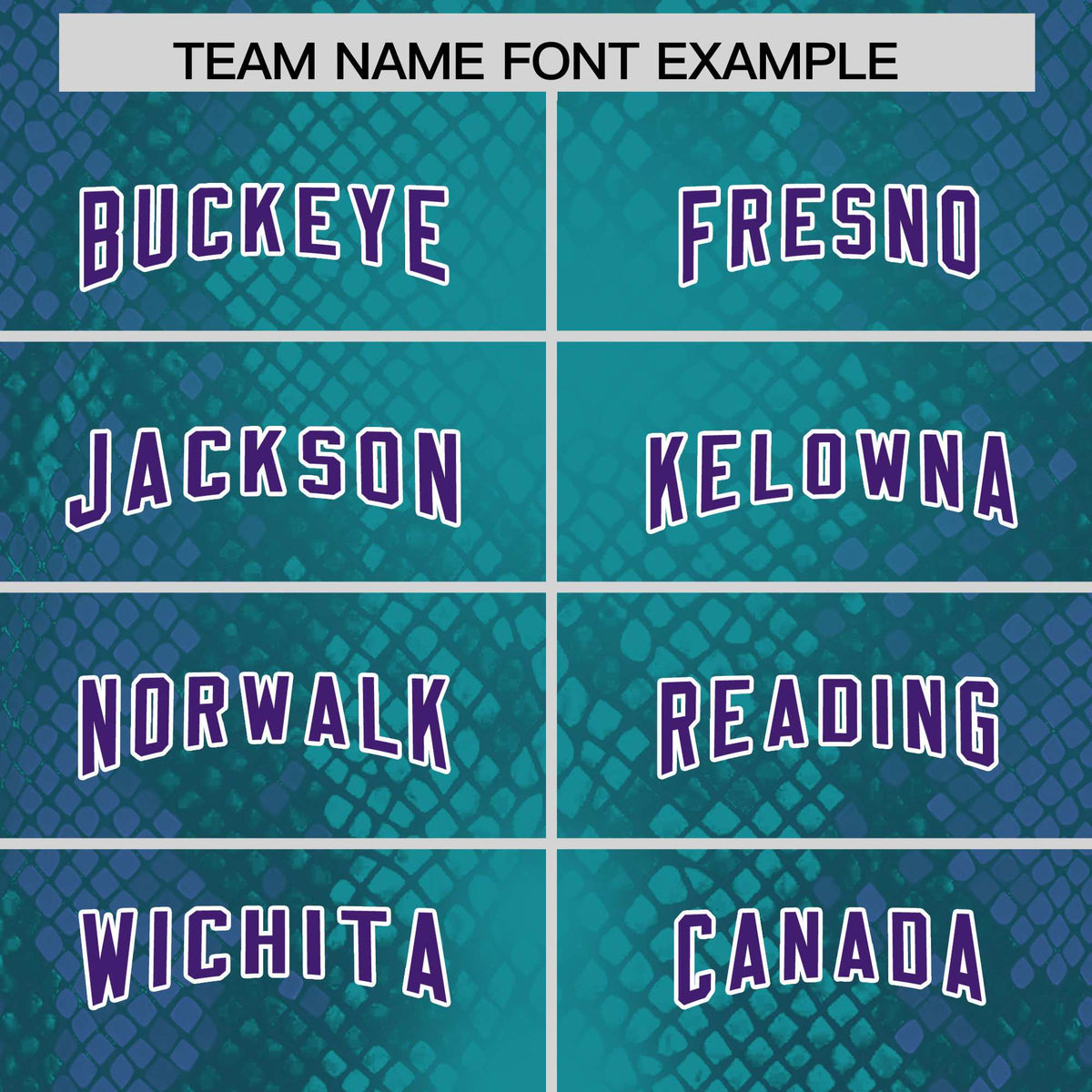 Custom Aqua Personalized Snakeskin Graffiti Pattern Authentic Football Jersey