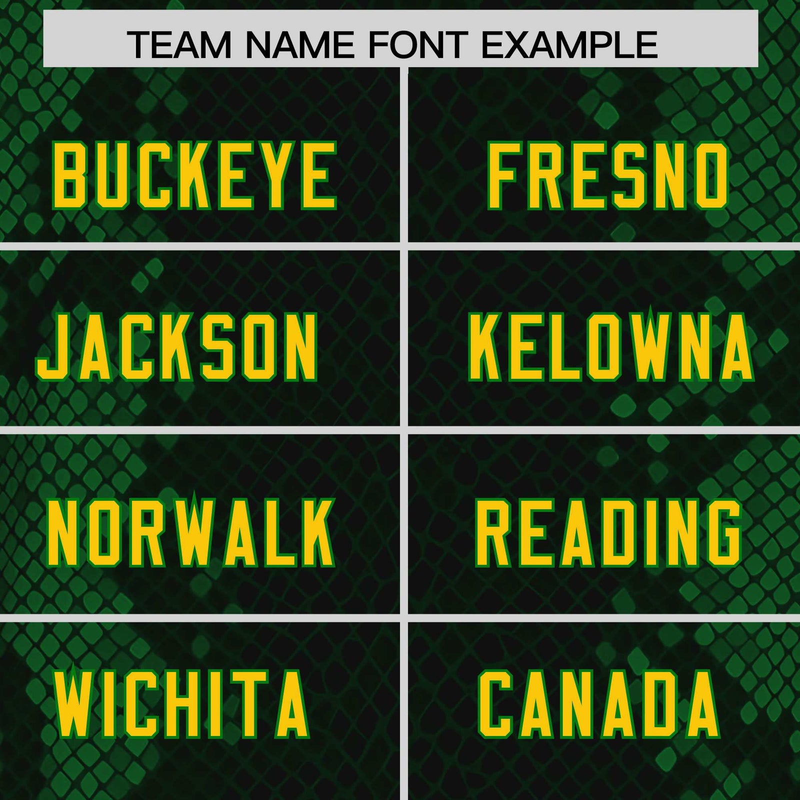 Custom Black Personalized Snakeskin Graffiti Pattern Authentic Football Jersey