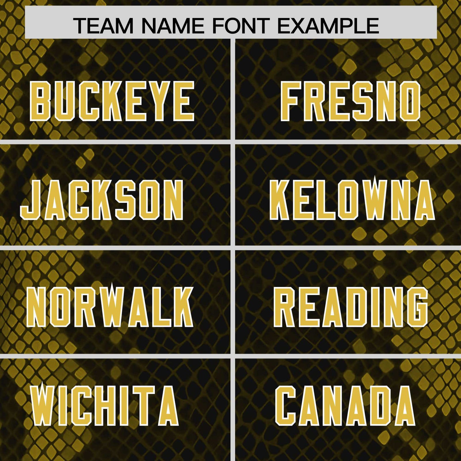 Custom Black Personalized Snakeskin Graffiti Pattern Authentic Football Jersey