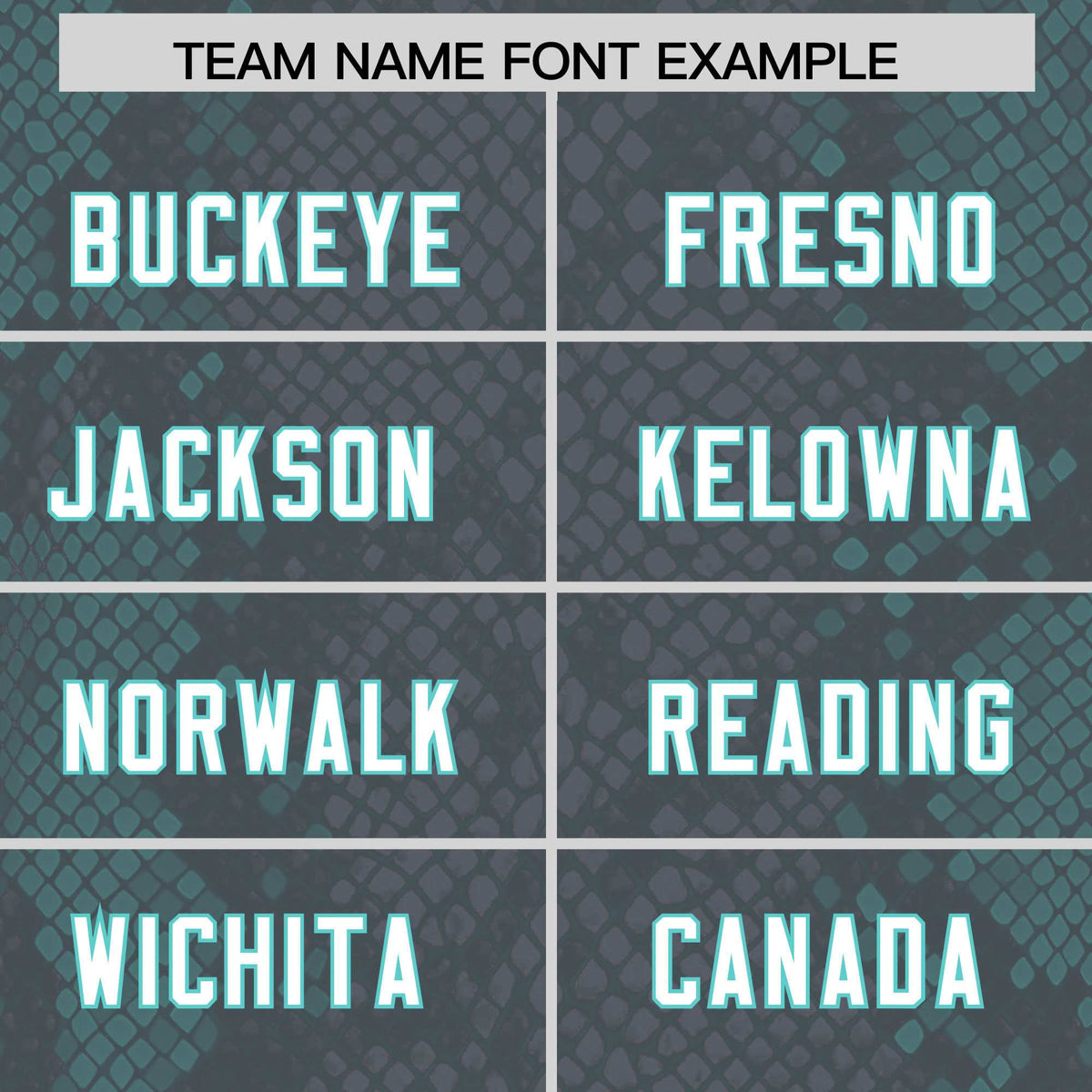 Custom Gray Personalized Snakeskin Graffiti Pattern Authentic Football Jersey