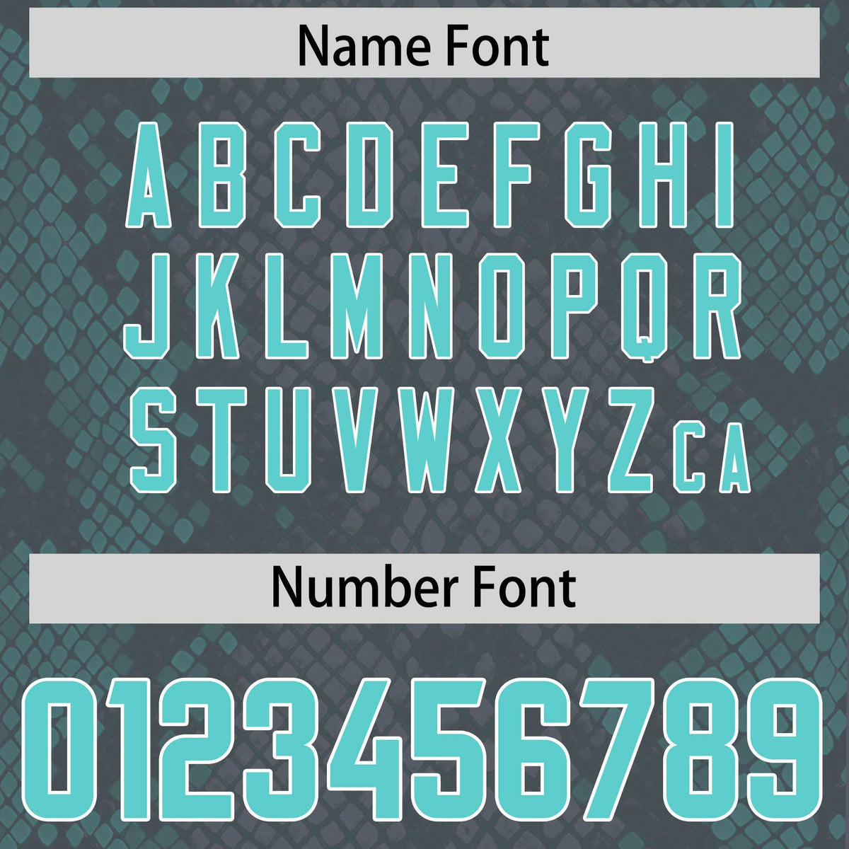 Custom Gray Personalized Snakeskin Graffiti Pattern Authentic Football Jersey