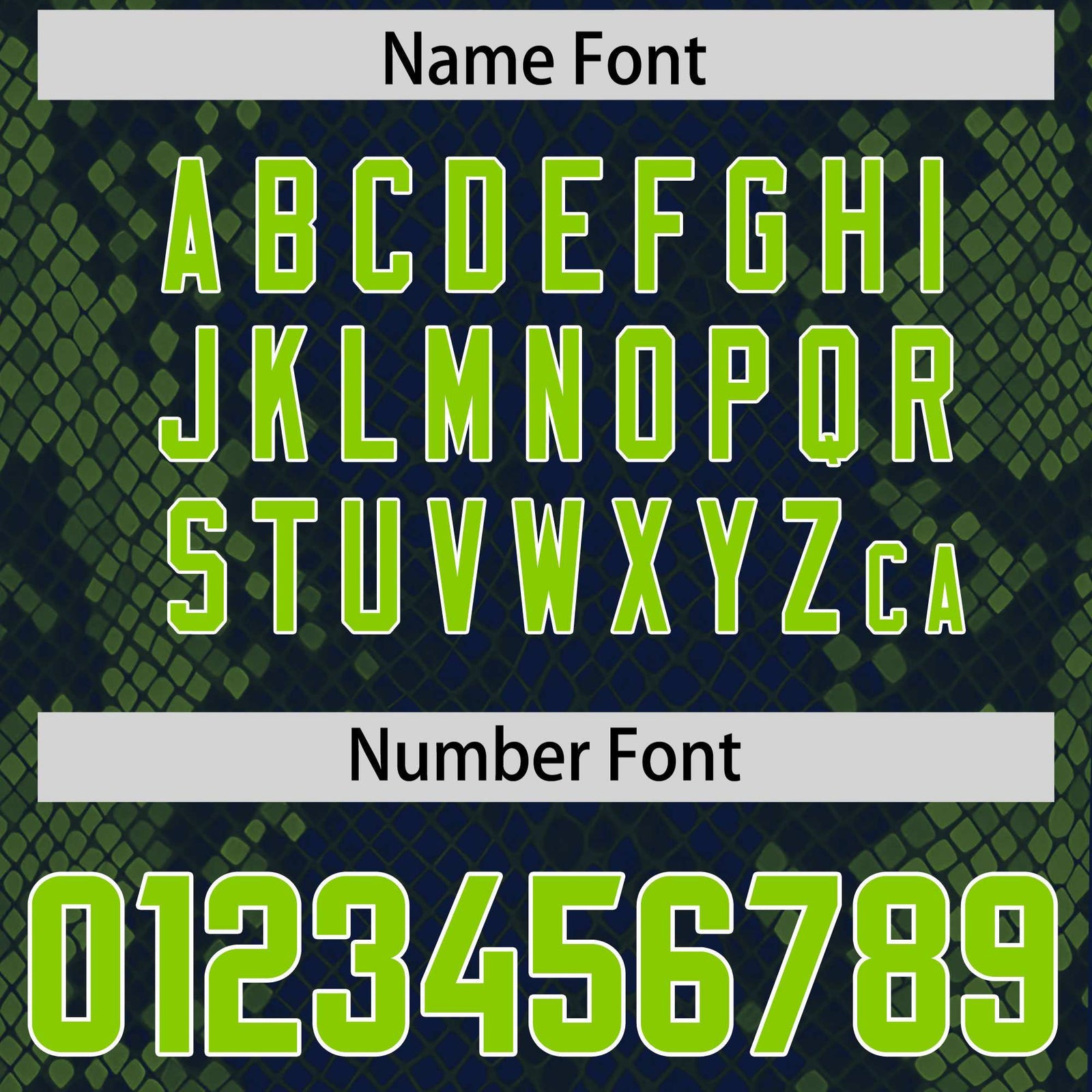 Custom Navy Personalized Snakeskin Graffiti Pattern Authentic Football Jersey