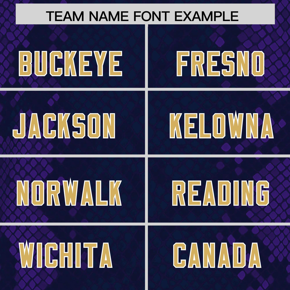 Custom Navy Personalized Snakeskin Graffiti Pattern Authentic Football Jersey